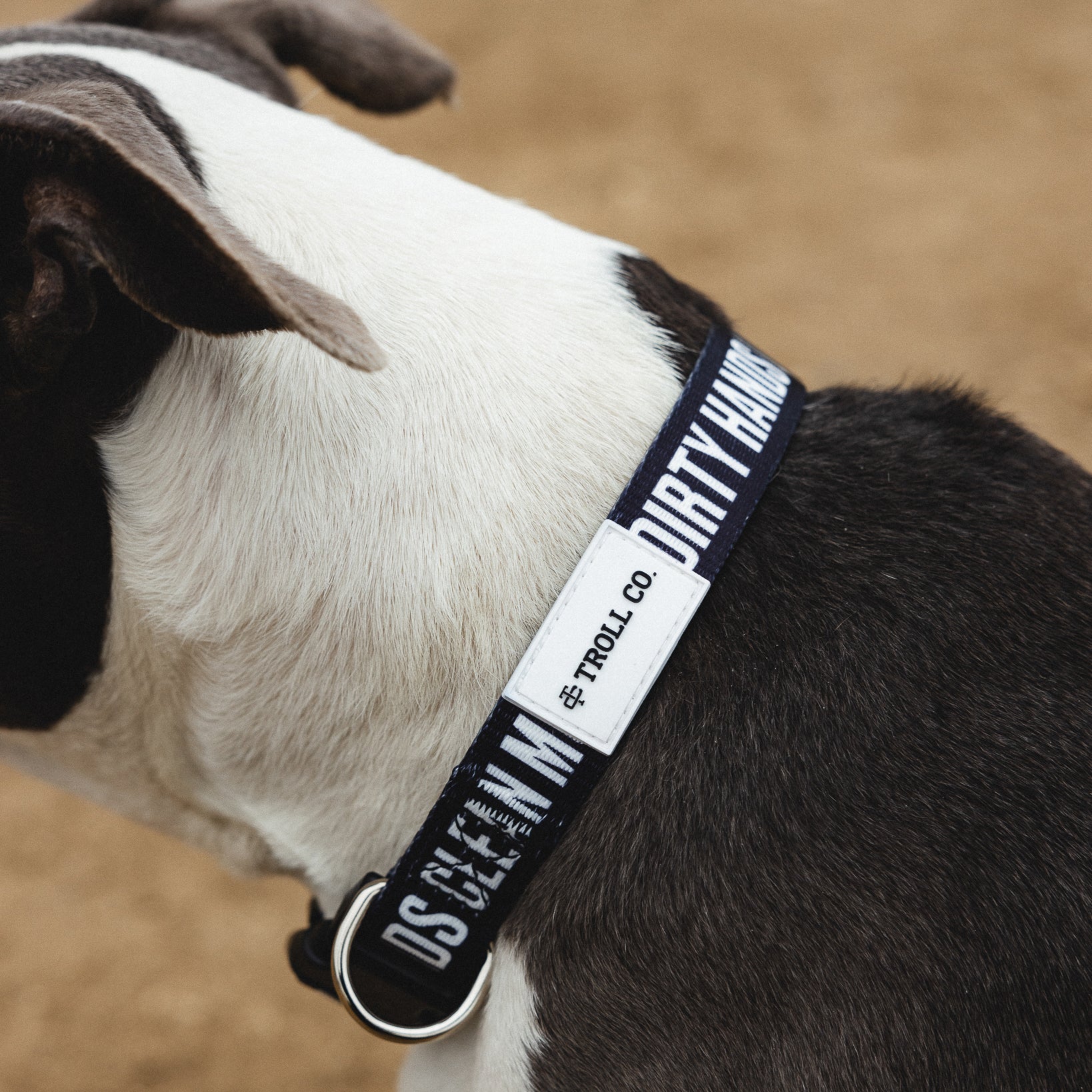 Radial DHCM Heavy Duty Dog Collar – Black - view 6