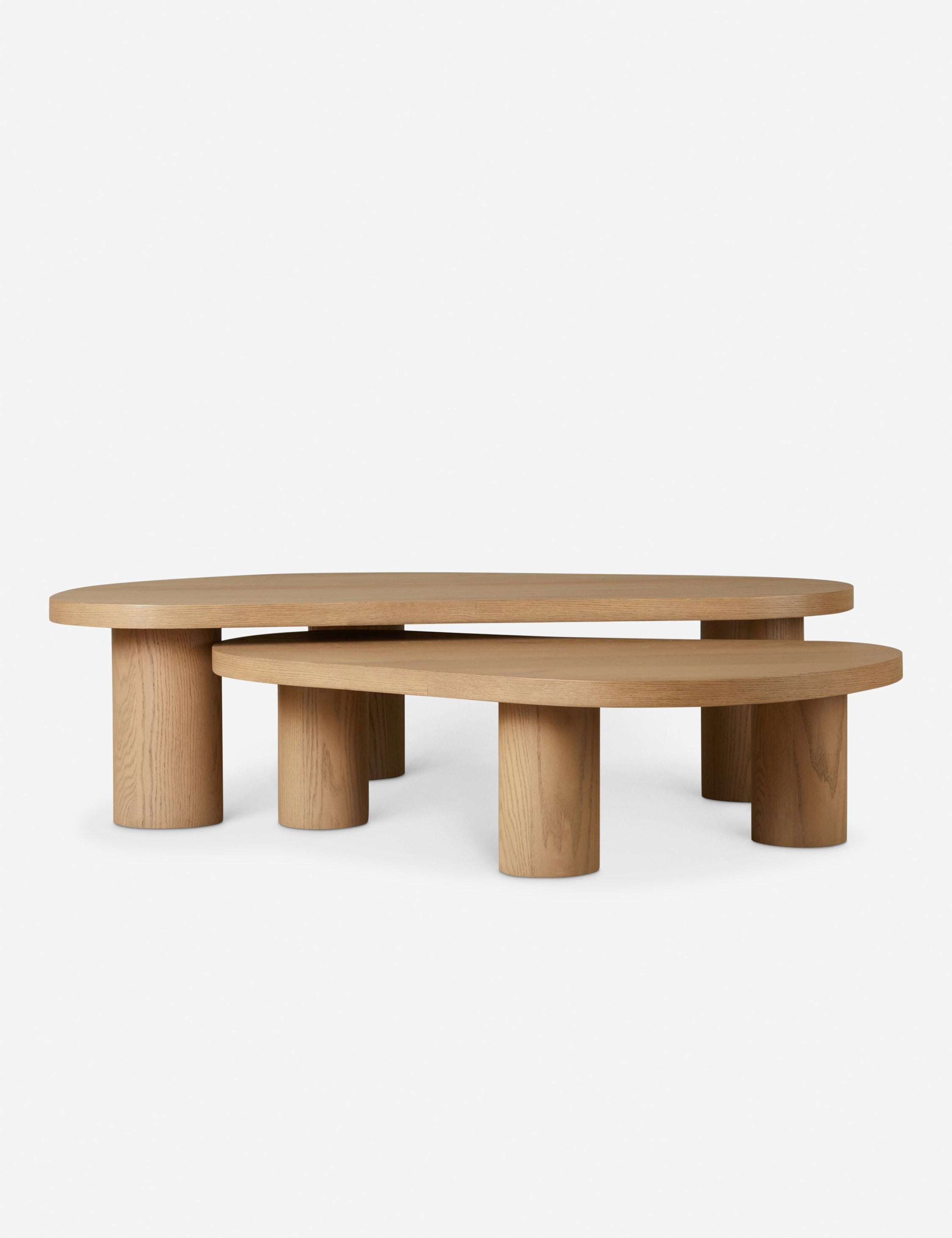 Lulu and Georgia Heiko Nesting Coffee Table (Set of 2)