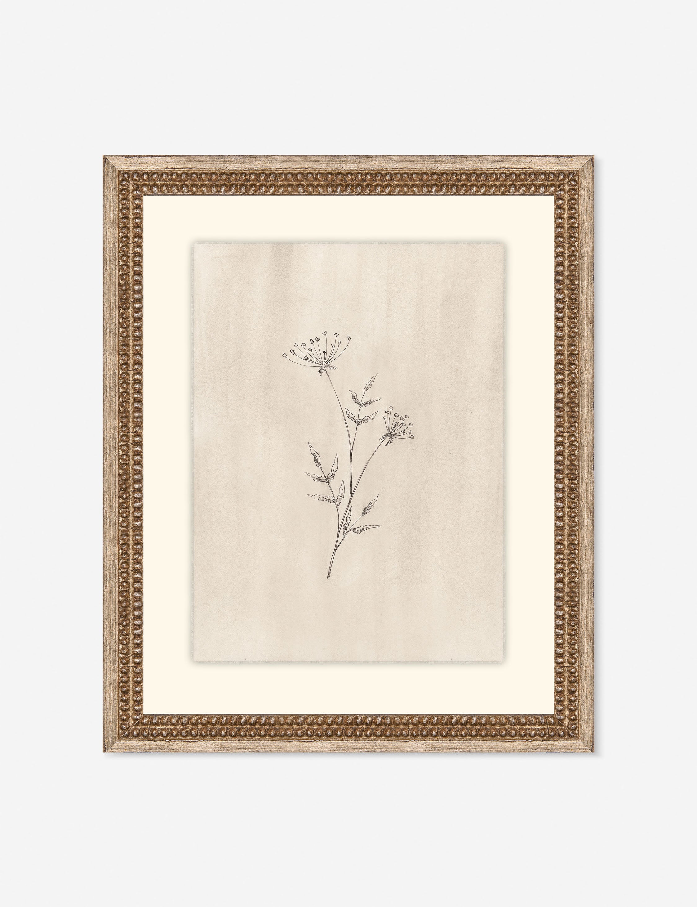 Lulu and Georgia Elegant Botanical IV Wall Art by Makai Howell