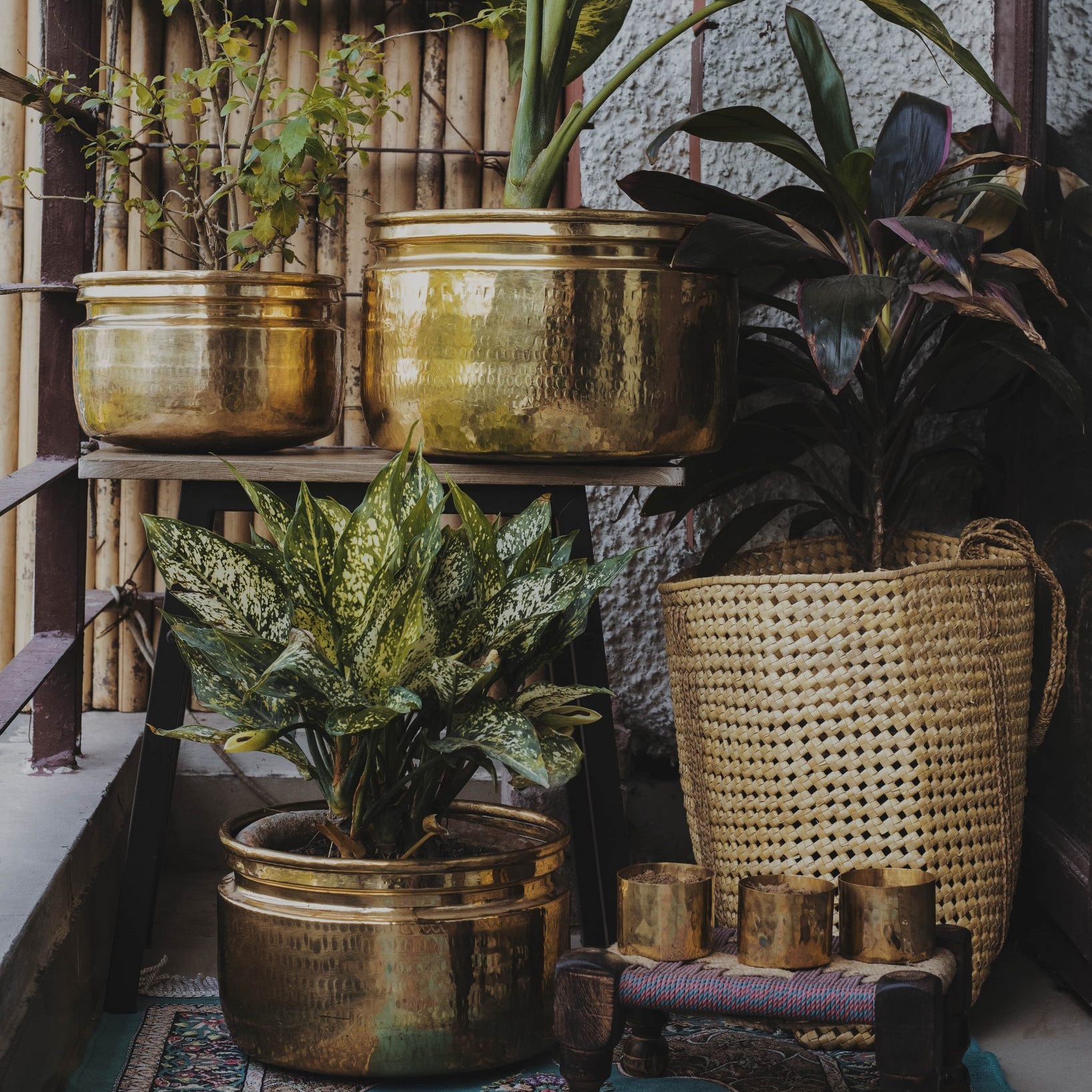P-TAL Brass Planters