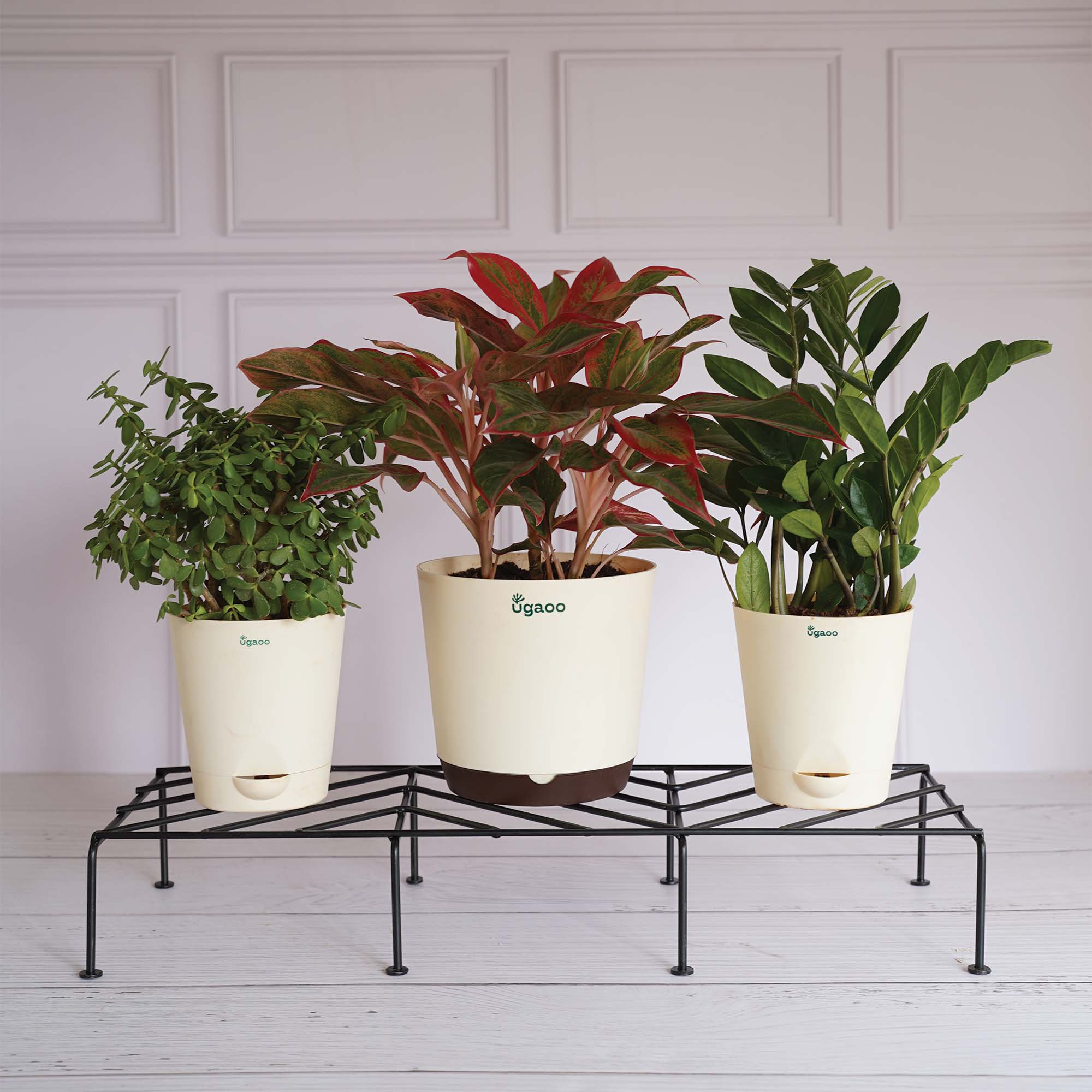 Ugaoo Premium Plants Stand - view 5