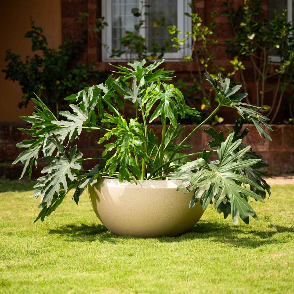 Ugaoo Malta Planter - view 15