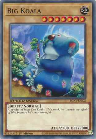 Yu-Gi-Oh! Big Koala - SGX1-ENI02 - Common - 1st Edition