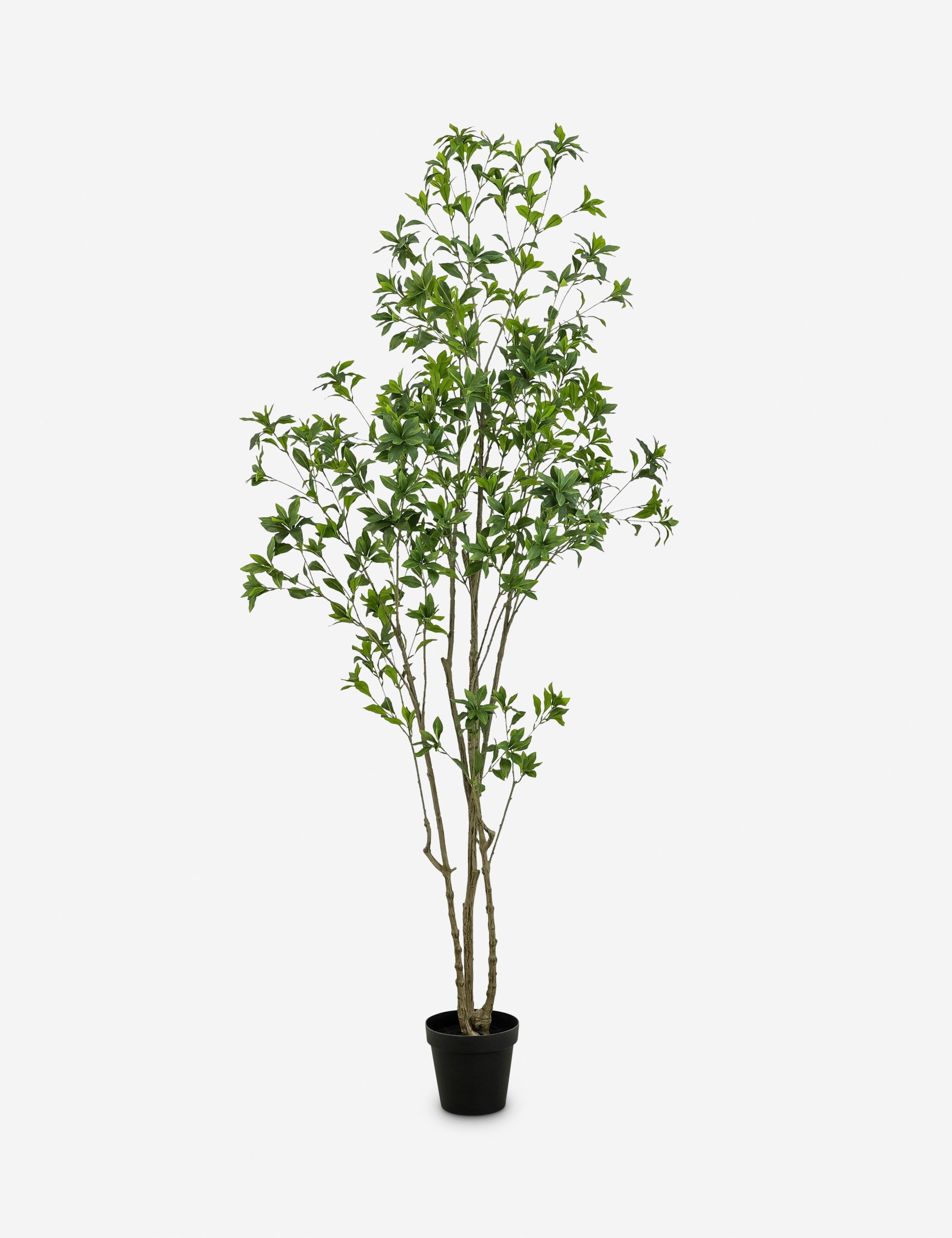 Lulu and Georgia Faux Pieris Tree