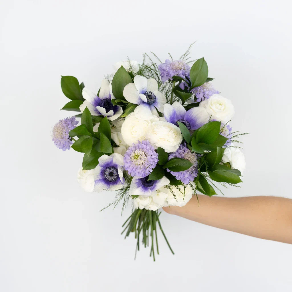 FiftyFlowers Soft Anemone Dreams DIY Flower Kit
