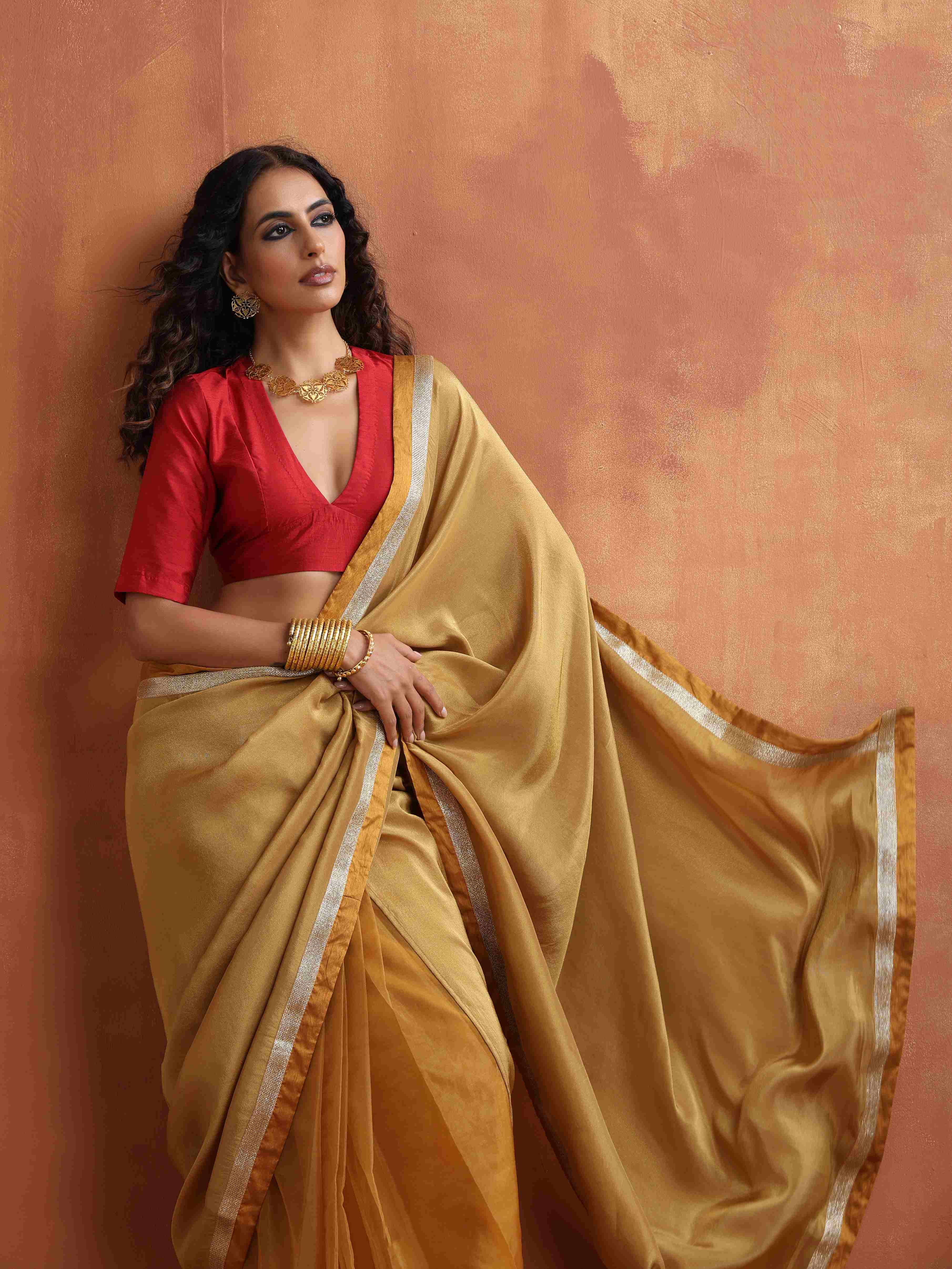 trueBrowns Gold Tissue Ready To Wear Saree – Women's - view 5