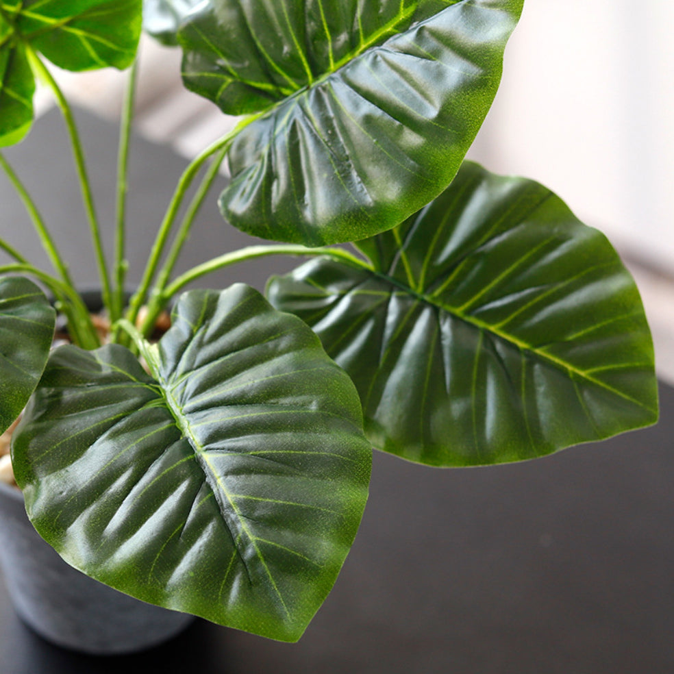 Nestasia Artificial Plant in Pot - view 7