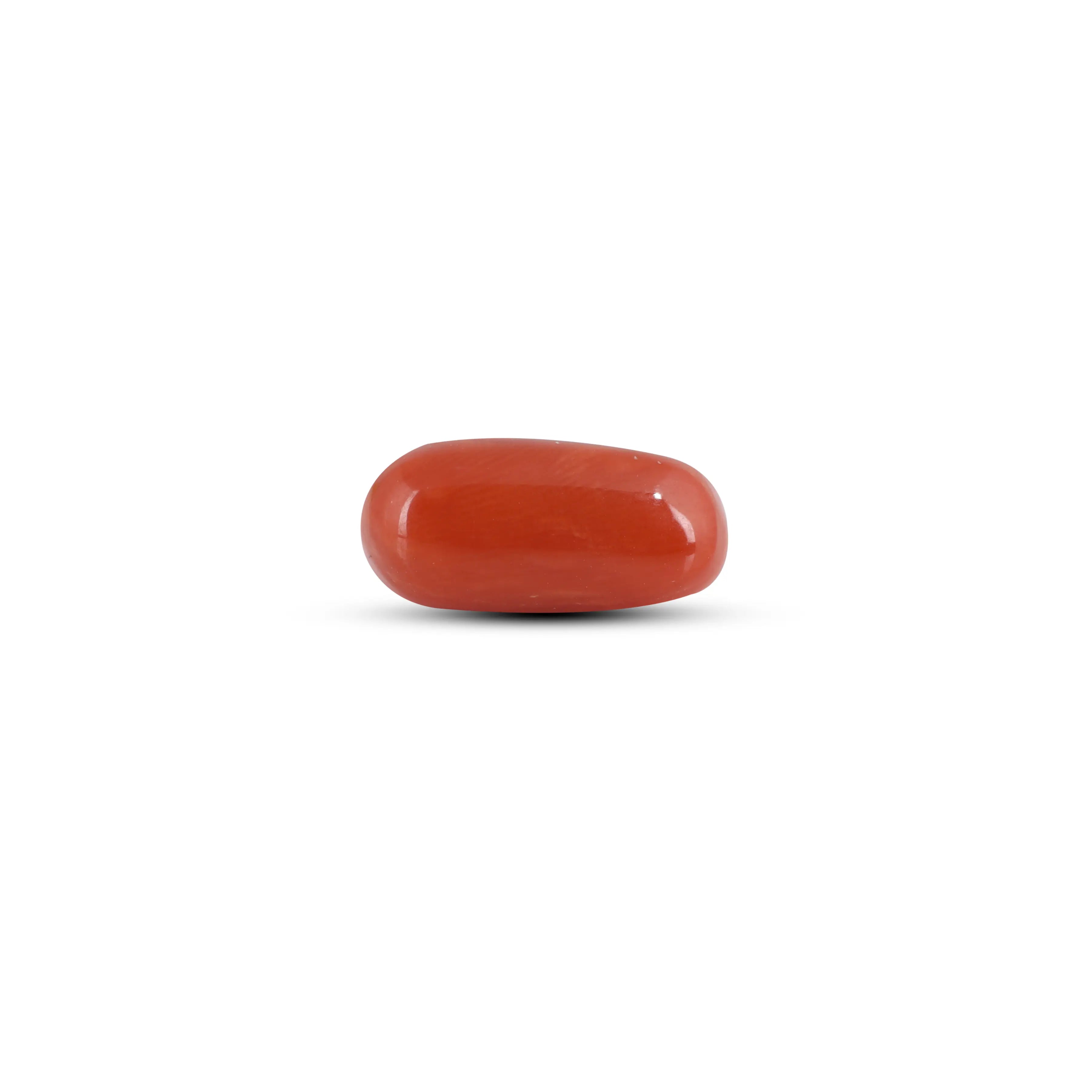Pramogh Red Coral - 3.6 Carat
