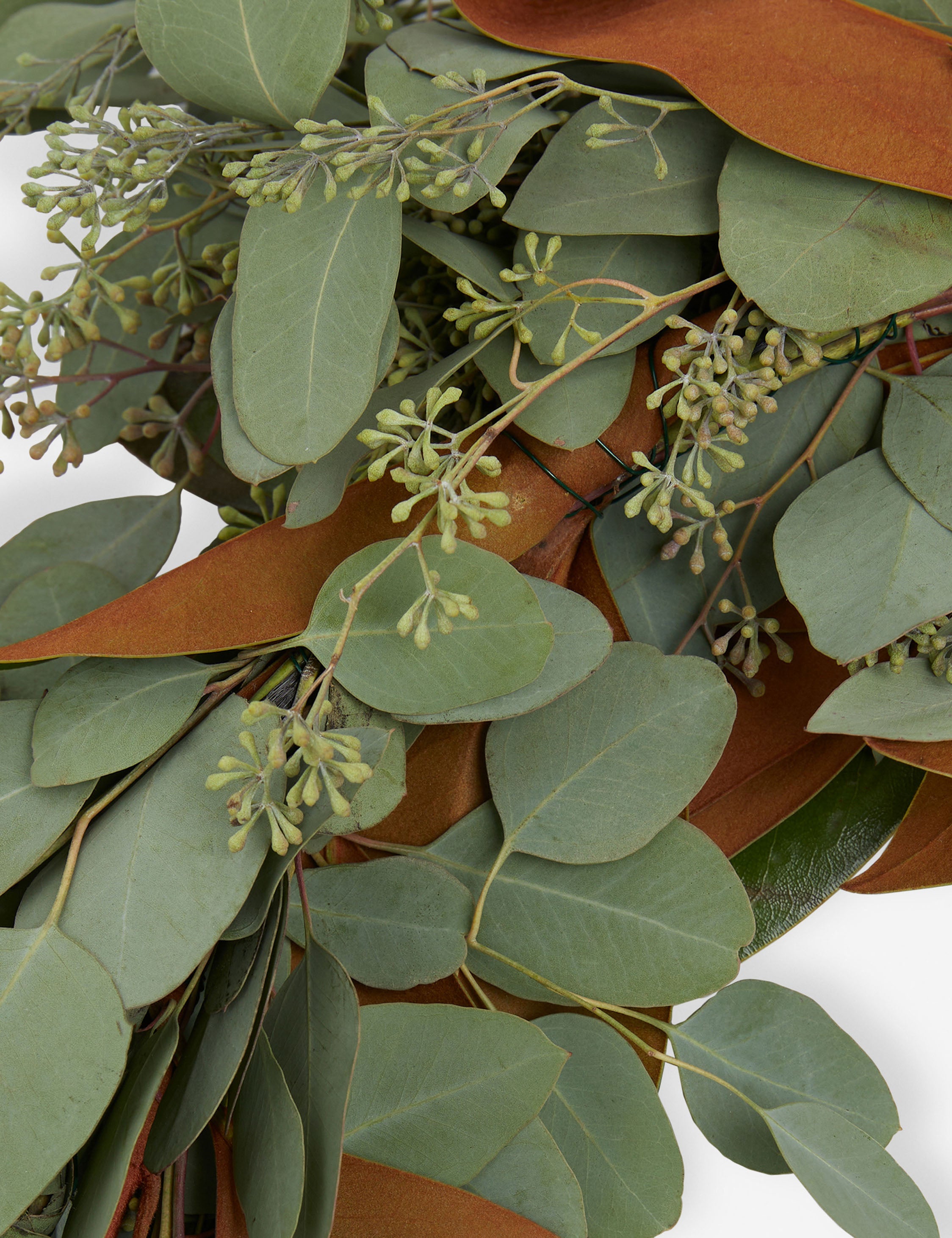 Lulu and Georgia Fresh Handmade Magnolia and Seeded Eucalyptus Garland - view 2