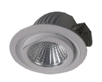 Orient Electric LED Wall Washer