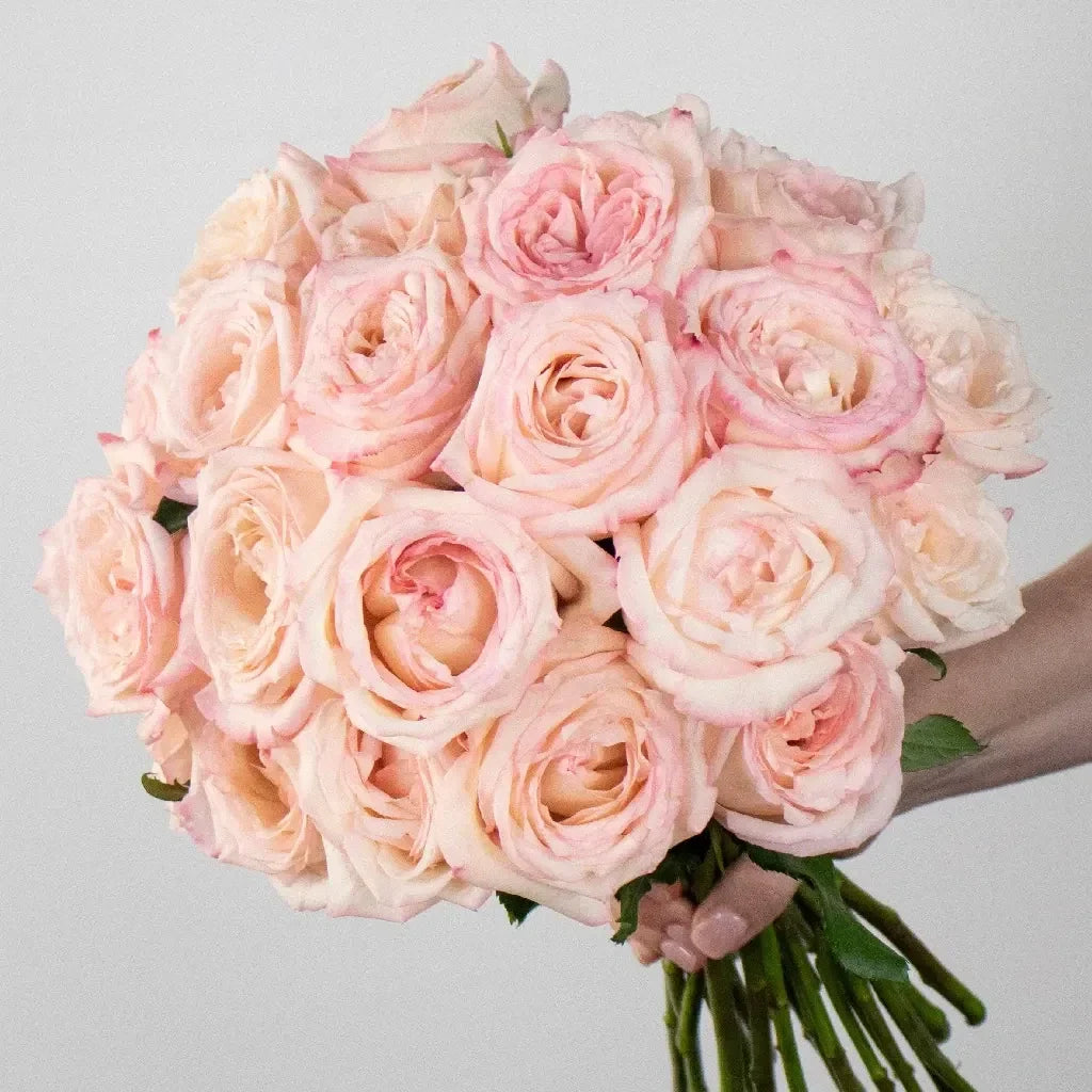 FiftyFlowers Prepaid Premium Rose Subscription Box