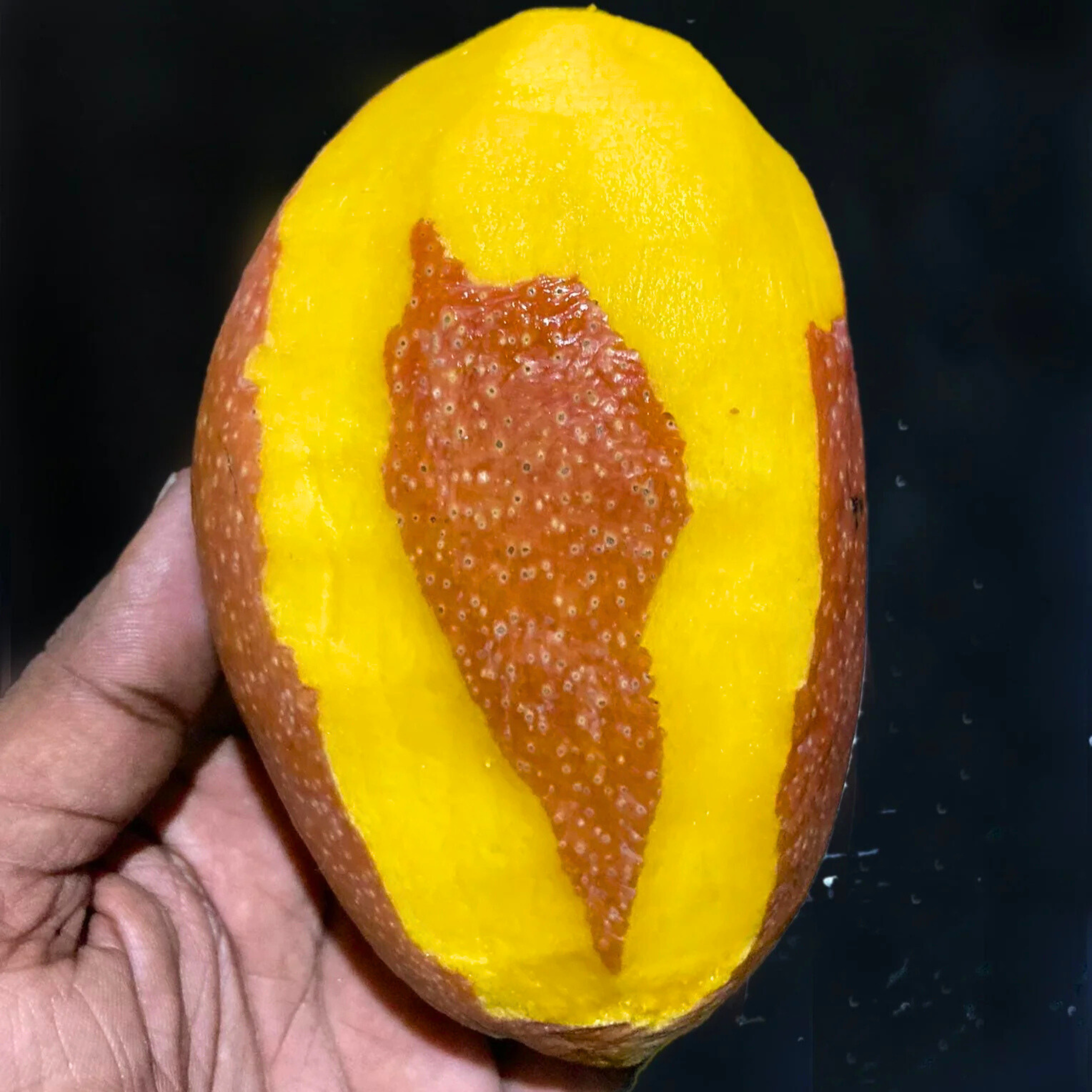 VL Yuwen Mango Grafted Live Plant - view 4