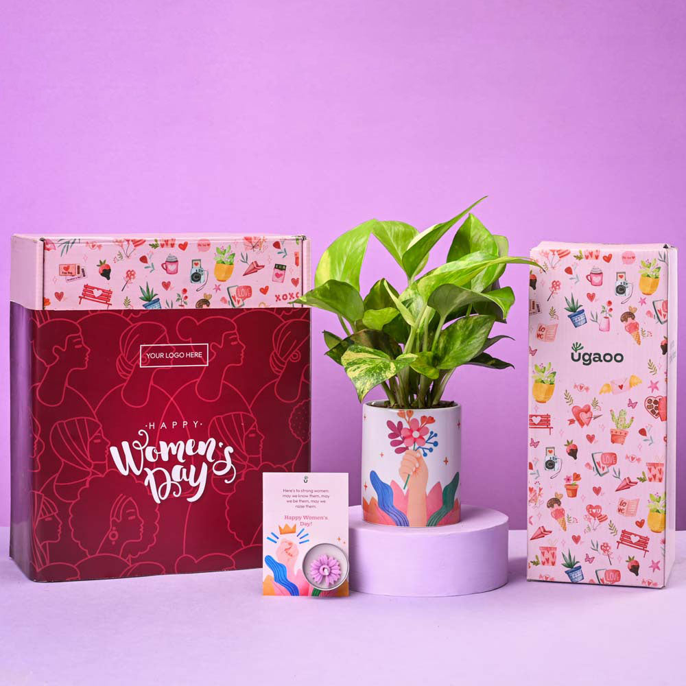 Ugaoo Variegated Money Plant Elegance Women's Day Gift - view 2