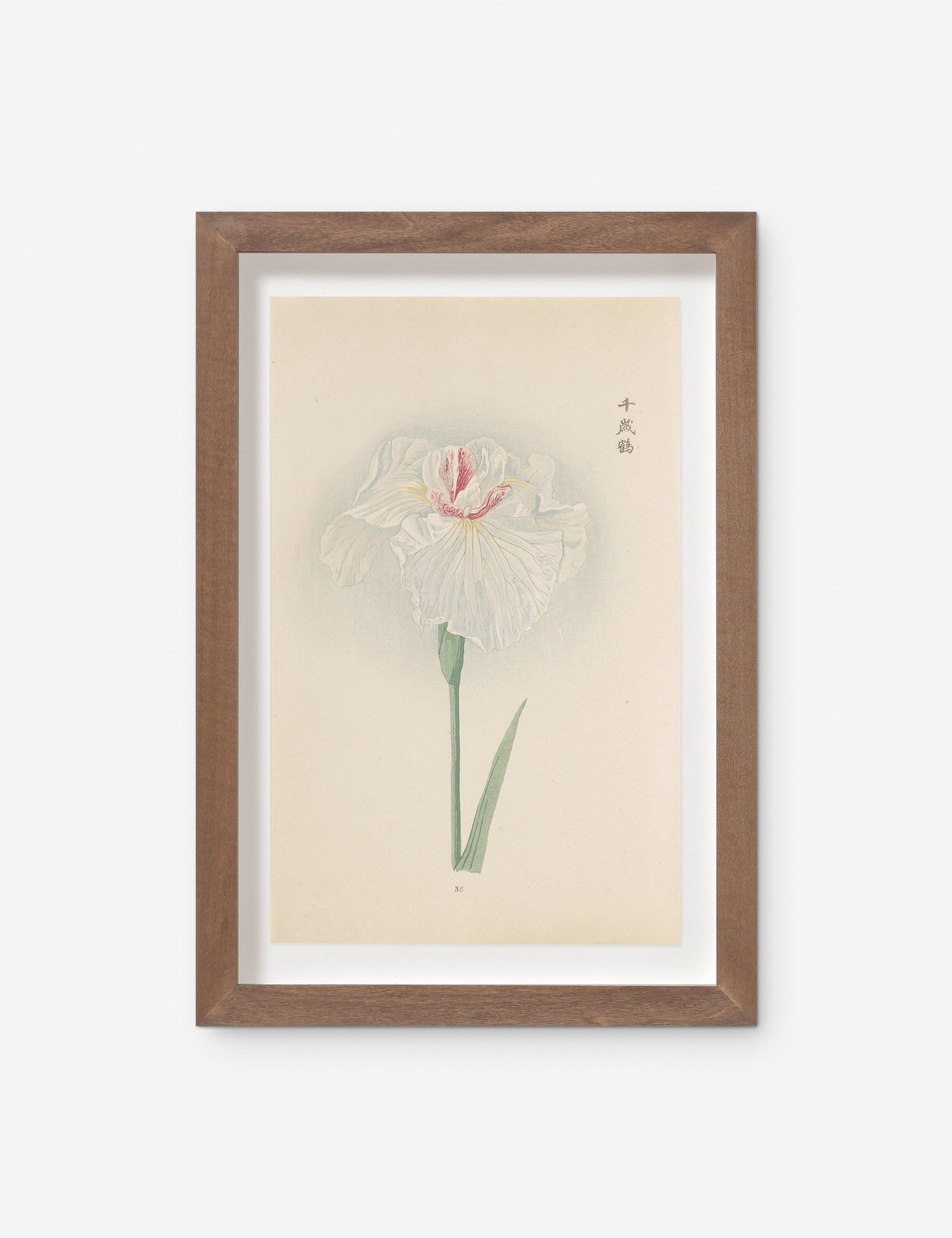 Lulu and Georgia Vintage Japanese Iris No. 35 Wall Art by Miyoshi Manabu