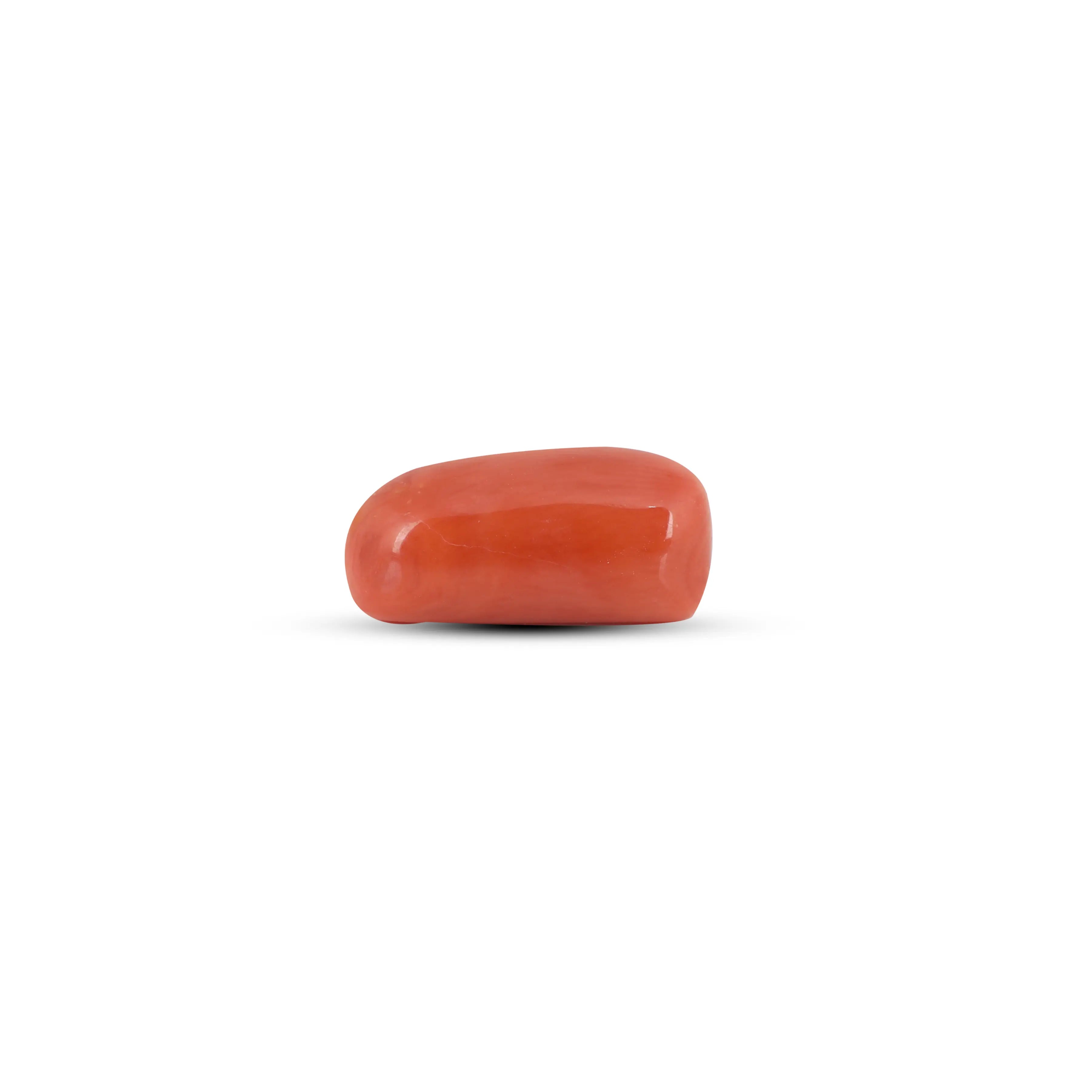 Pramogh Red Coral - 5 Carat - view 3