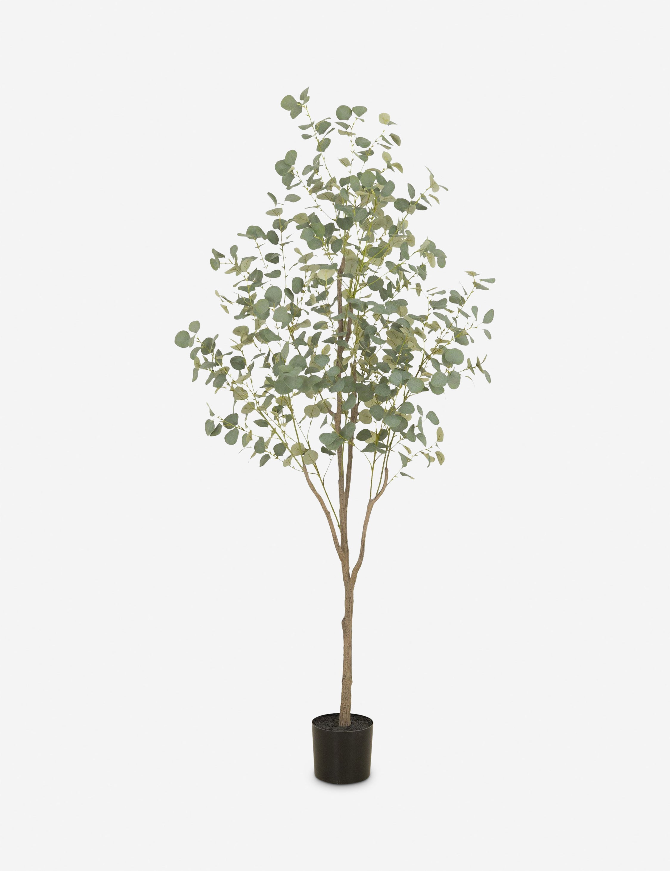 Lulu and Georgia Faux Eucalyptus Tree