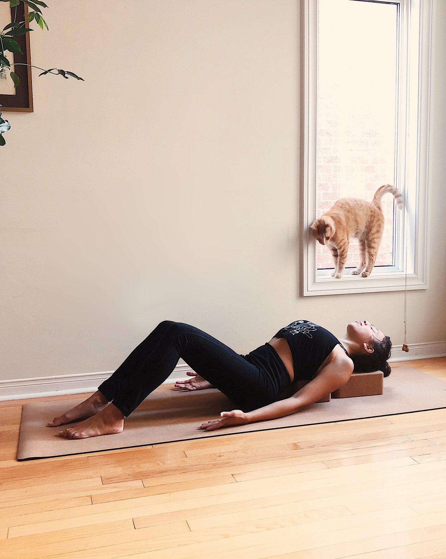 UPYOGA Sustainable Yoga Cork Blocks- Natural Fitness Cork - view 7