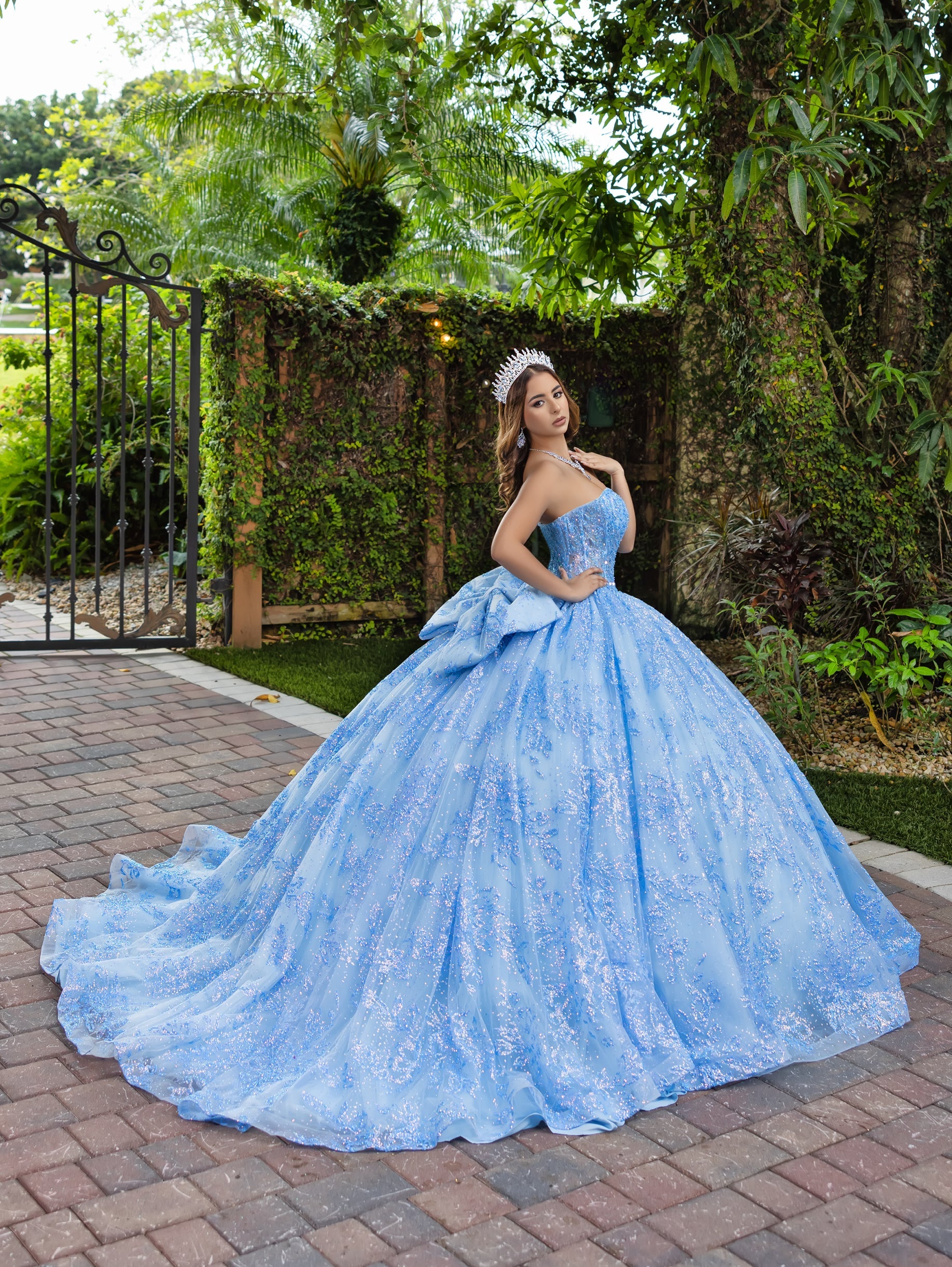 House of Wu Fiesta Gowns Glitter Strapless Ball Gown by LizLuo Fiesta 56527 - view 7
