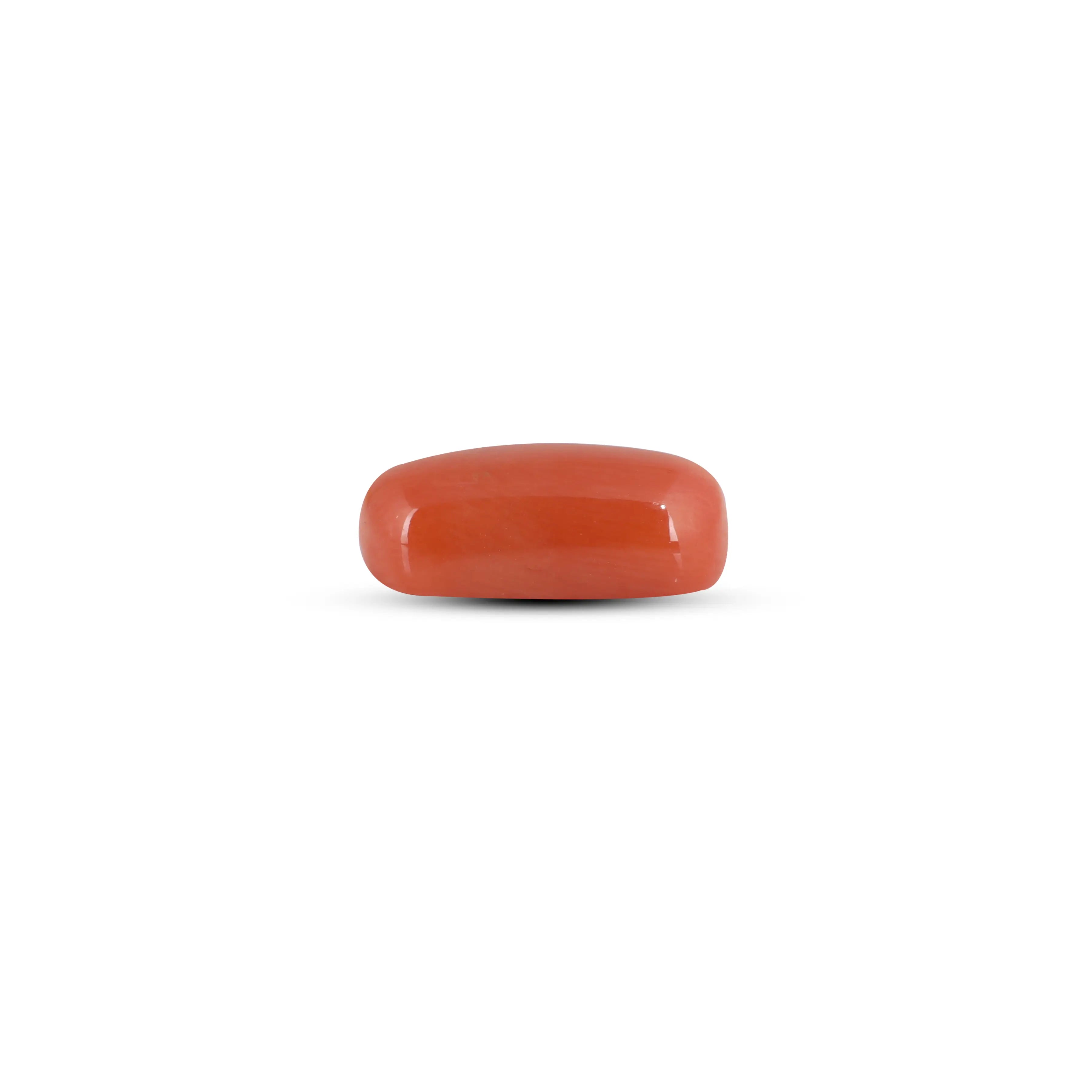 Pramogh Red Coral - 4.05 Carat - view 3