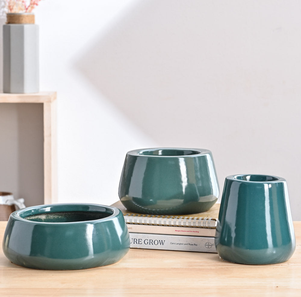 Ugaoo Tulip Fantasy Bundle - Dark Green - view 2