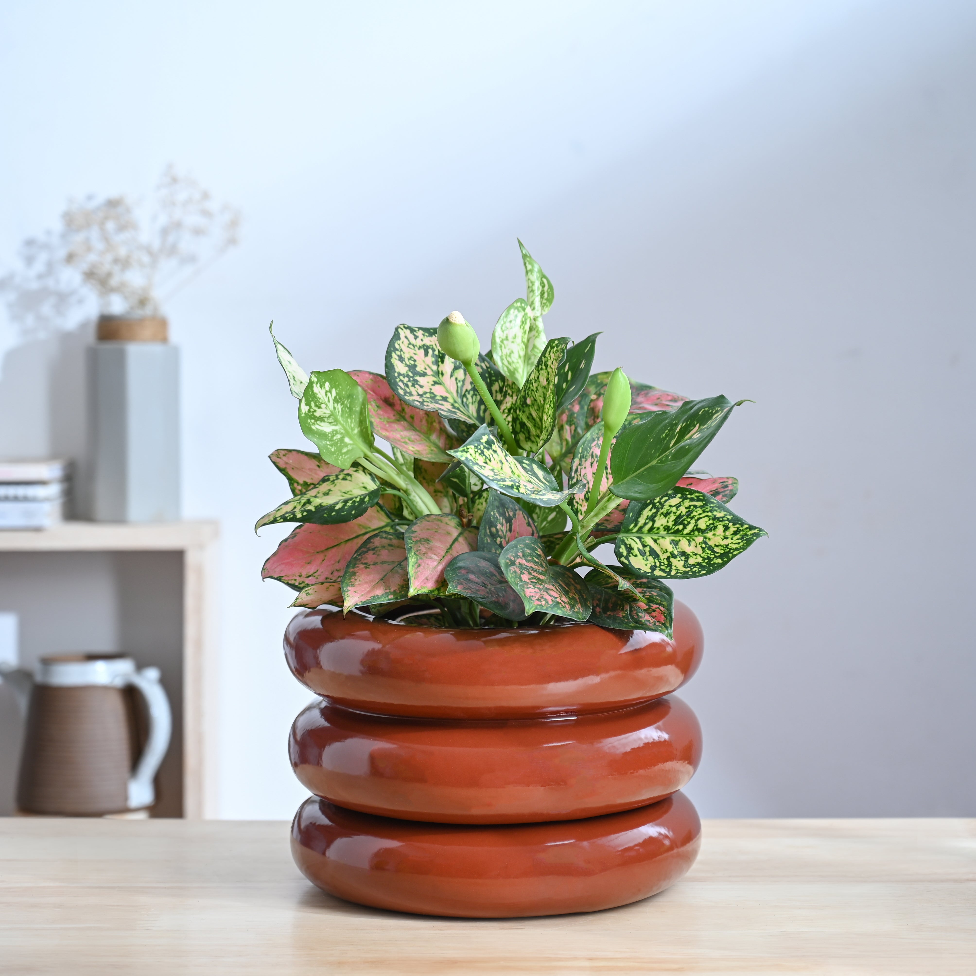 Ugaoo Tiny Kisses Ceramic Planter - view 17