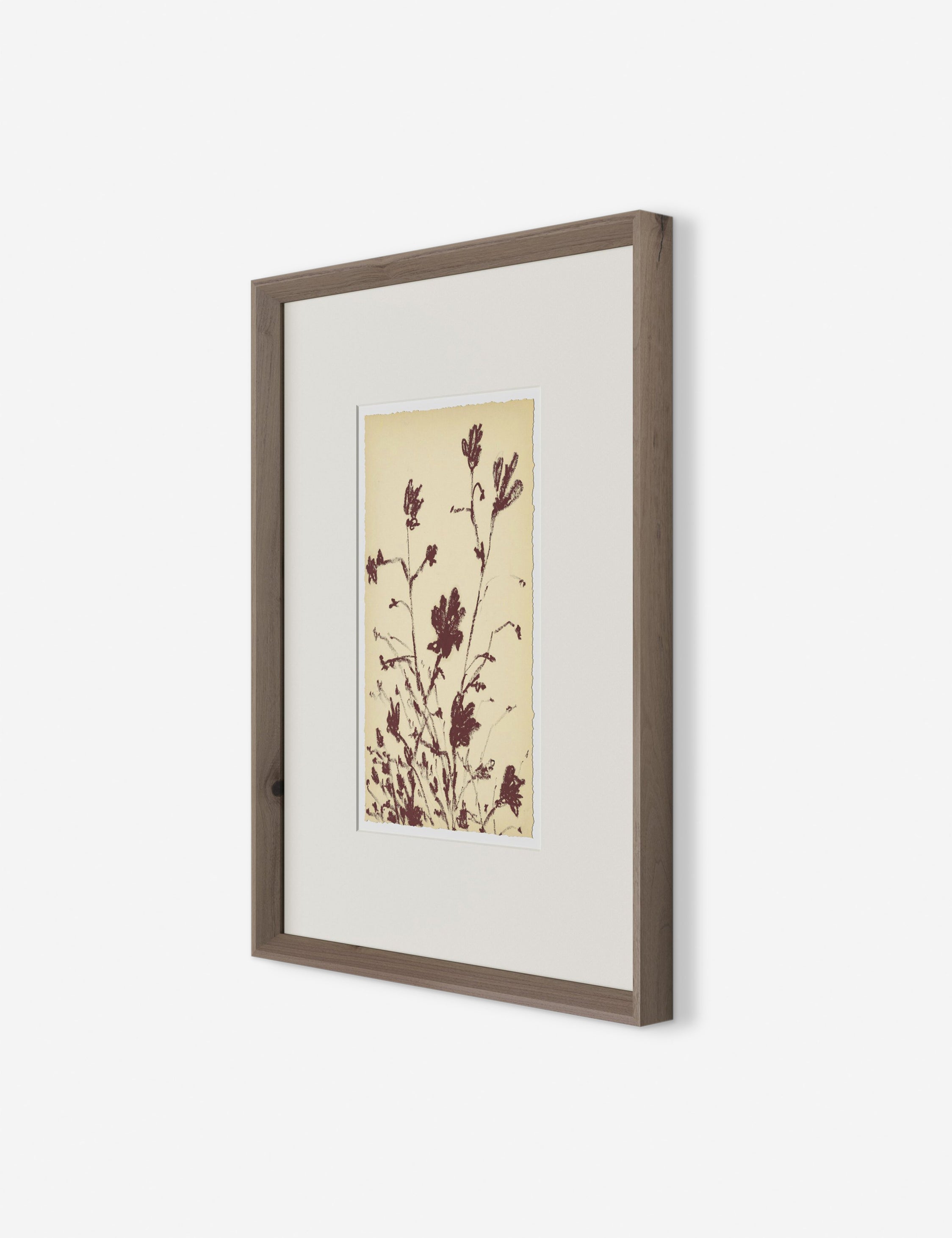 Lulu and Georgia Meadow Rue No. 3 Wall Art by Shaina Page - view 3