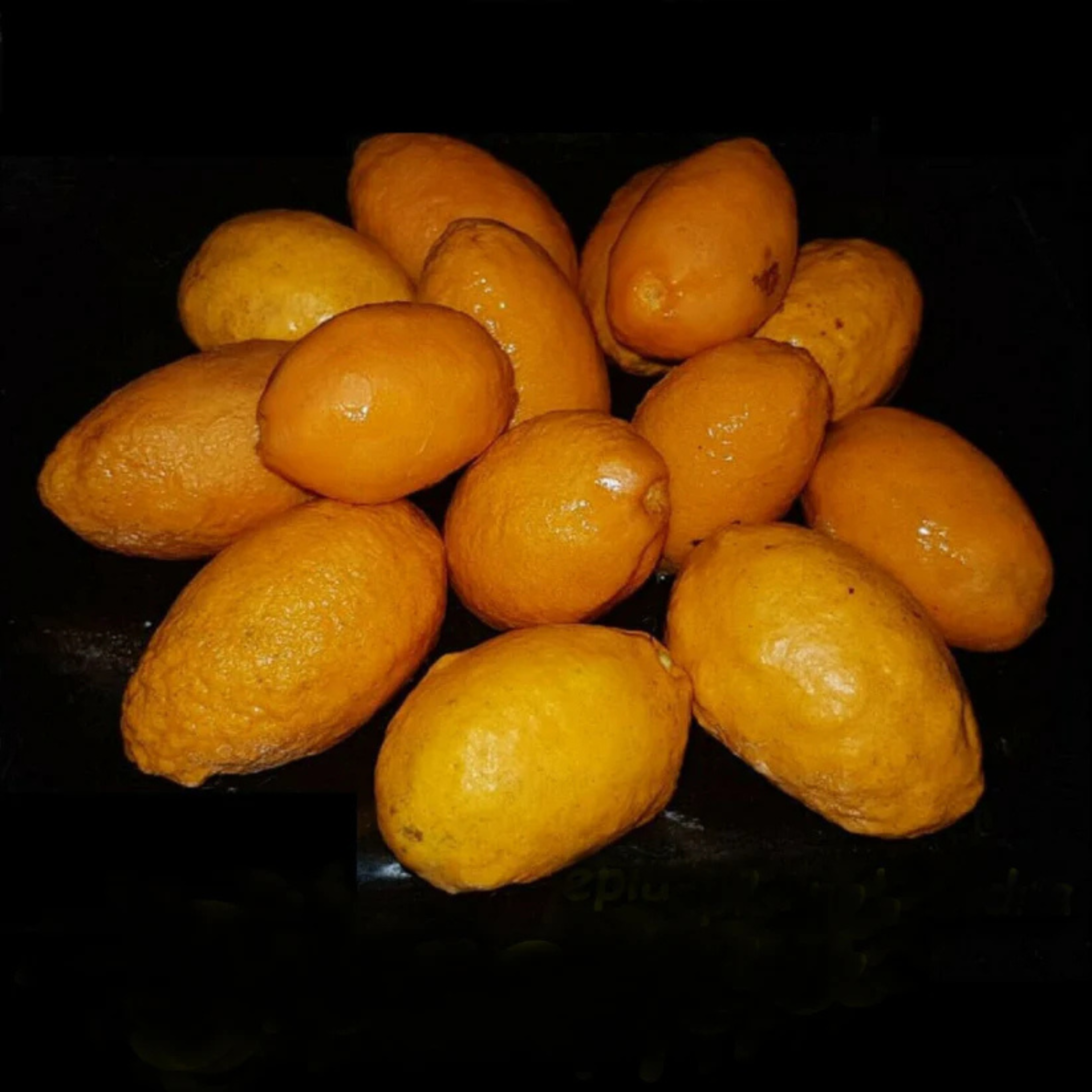 VL Olosappo (Couepia Polyandryis) Fruit Live Plant - view 2