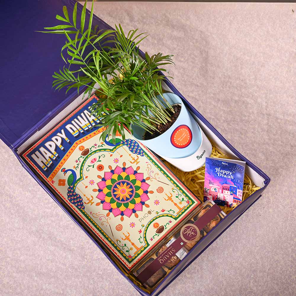 Ugaoo Bamboo Palm Plant & Phool Diwali Gift Hamper - view 7