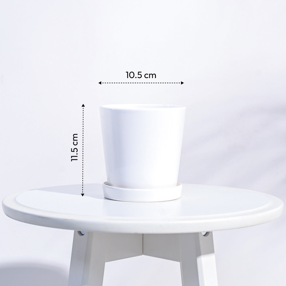 Ugaoo Table Top Ceramic Pot - White - view 2