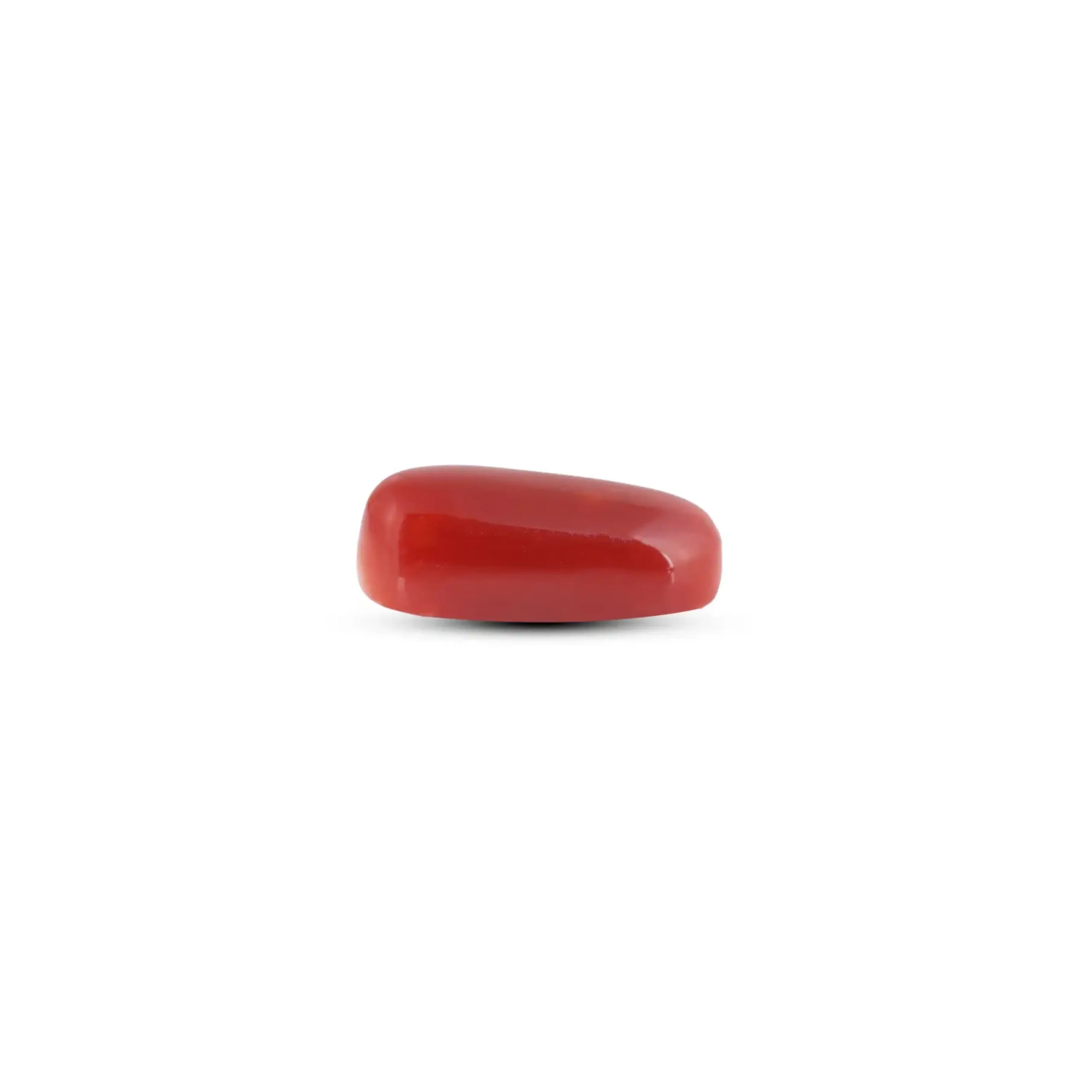 Pramogh Japanese Red Coral - 7.3 Carat - view 3