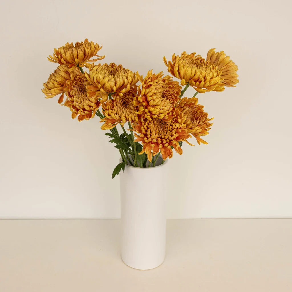 FiftyFlowers Brassy Gold Cremon - view 2