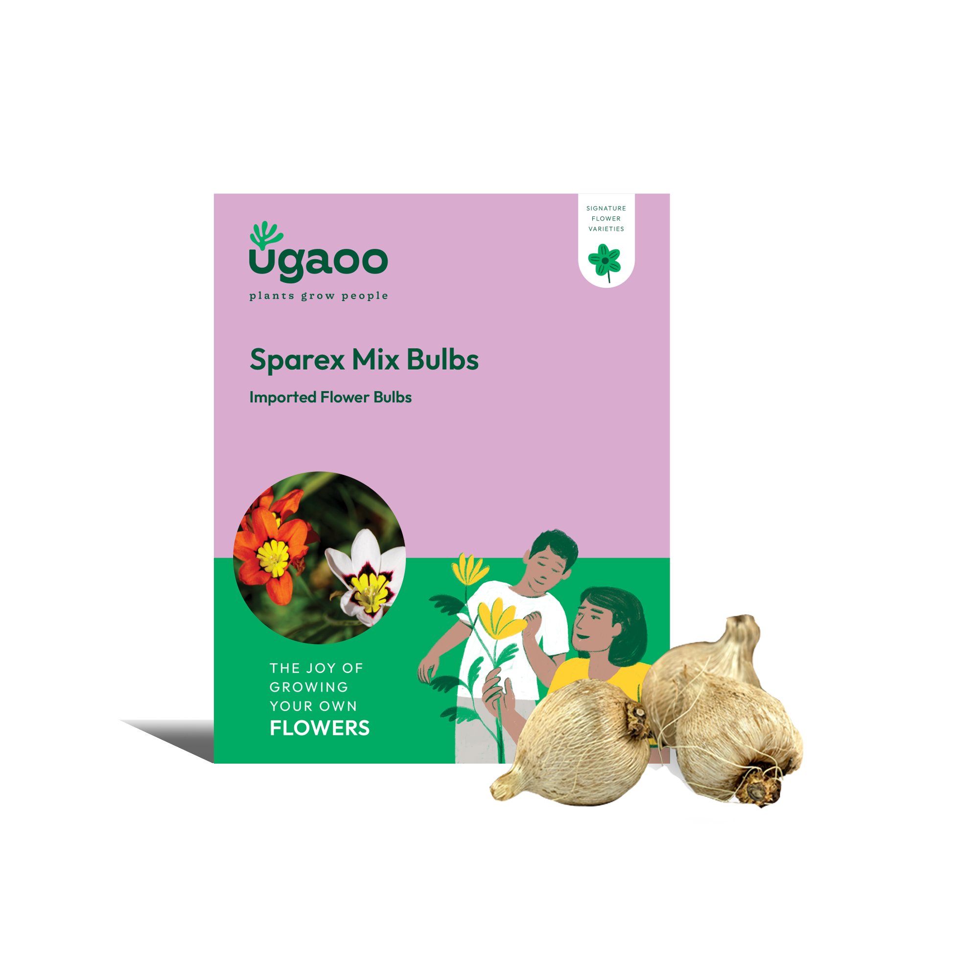 Ugaoo Sparex Mix Bulbs