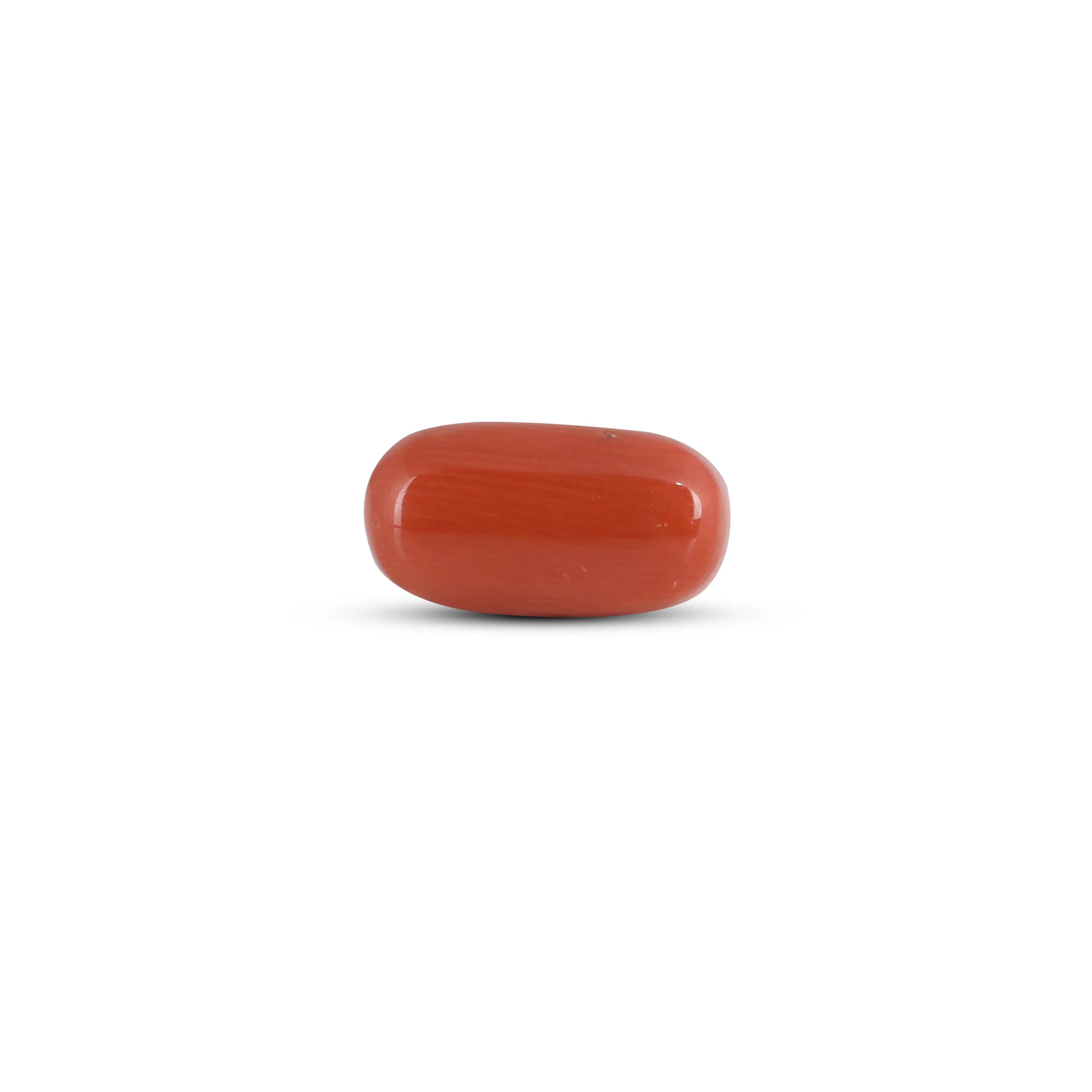 Pramogh Red Coral - 3.25 Carat