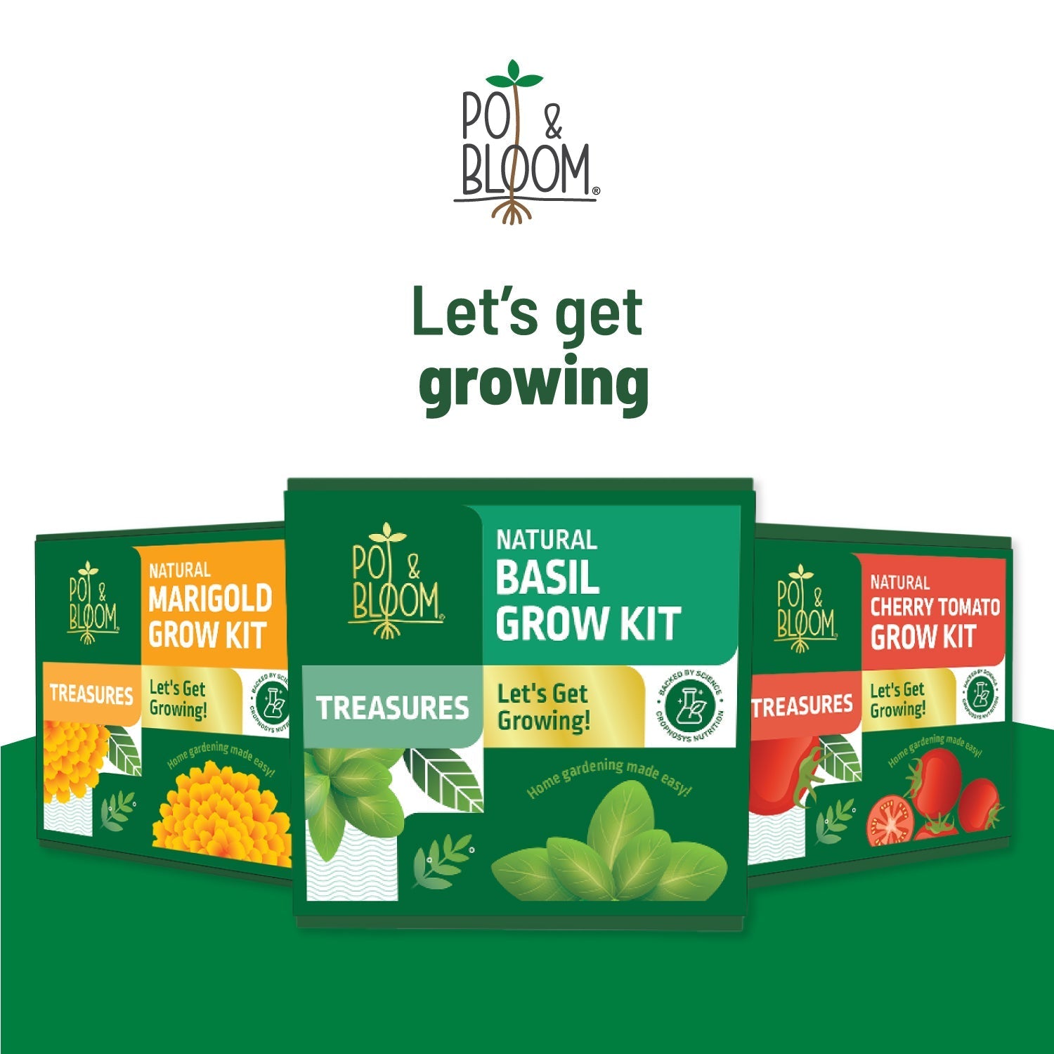 Ugaoo Treasures Basil Kit - view 7