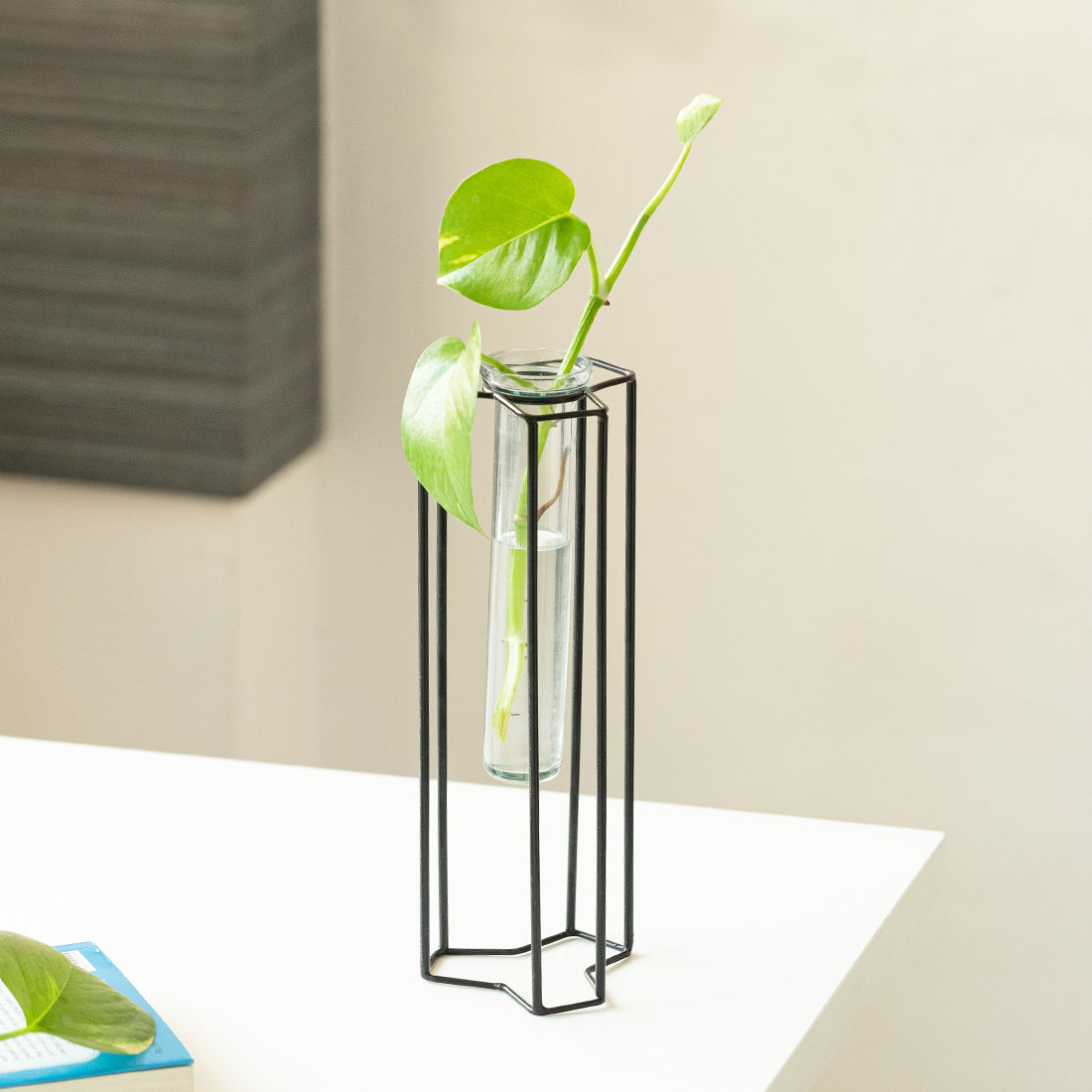EXCLUSIVELANE 'Modern Glass Garden' Test Tube Table Planter/Vase (10 Inch, Black)