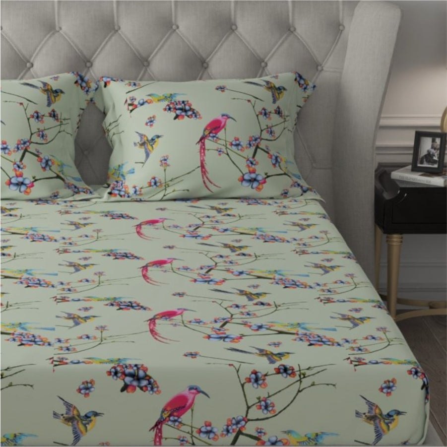 Urban Space -Home Furnishing Store Fitted King Size Cotton Bedsheet - Sparrow Mint Green