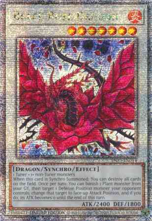 Yu-Gi-Oh! Black Rose Dragon - TN23-EN014 - Quarter Century Secret Rare - Limited