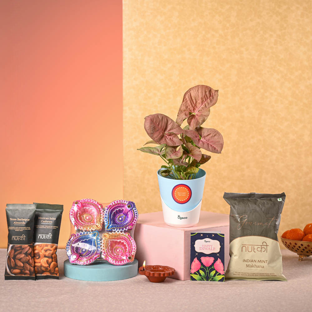 Ugaoo Syngonium Pink Plant and Nutki Diwali Gift Hamper
