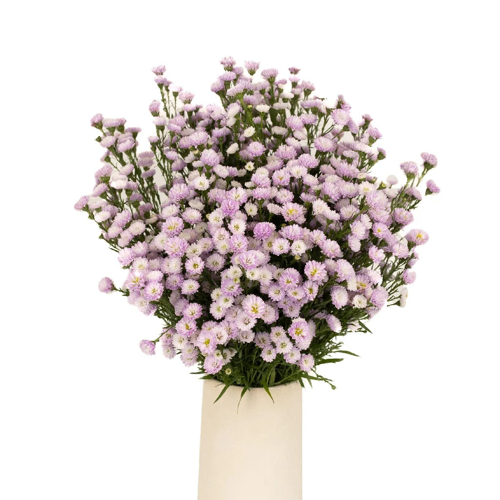FiftyFlowers Petite Pink Lilac Aster Flowers