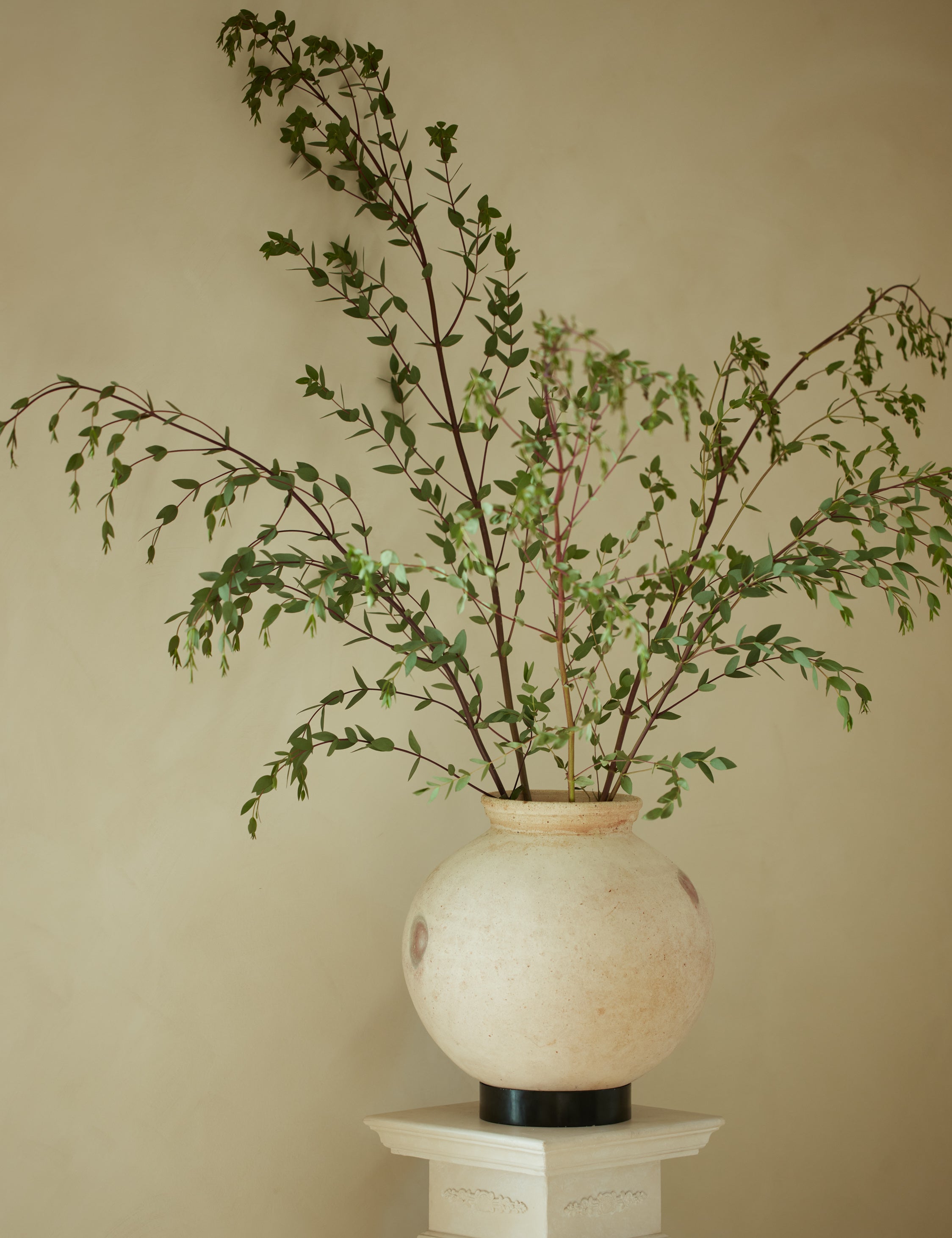 Lulu and Georgia Forba Pot - view 2