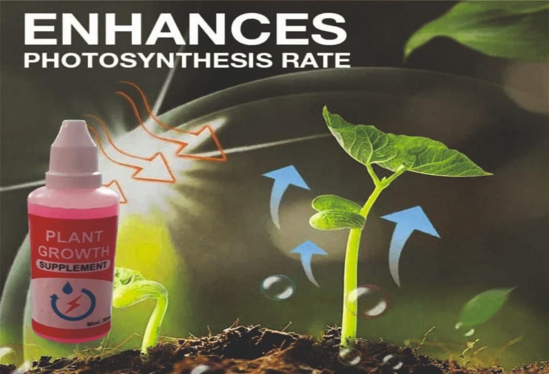 Roposo Clout Plant Growth Enhancer Supplement
