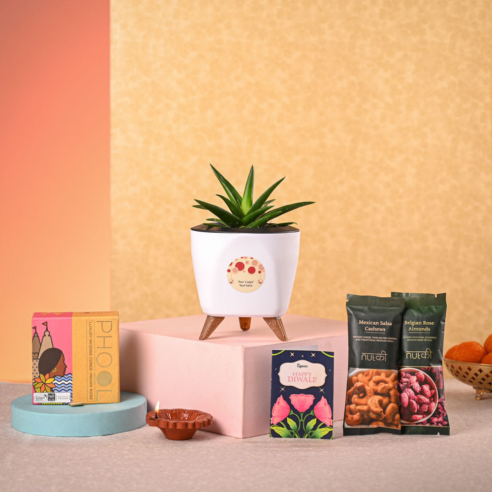 Ugaoo Aloe Vera Mini Plant & Phool Diwali Gift Hamper