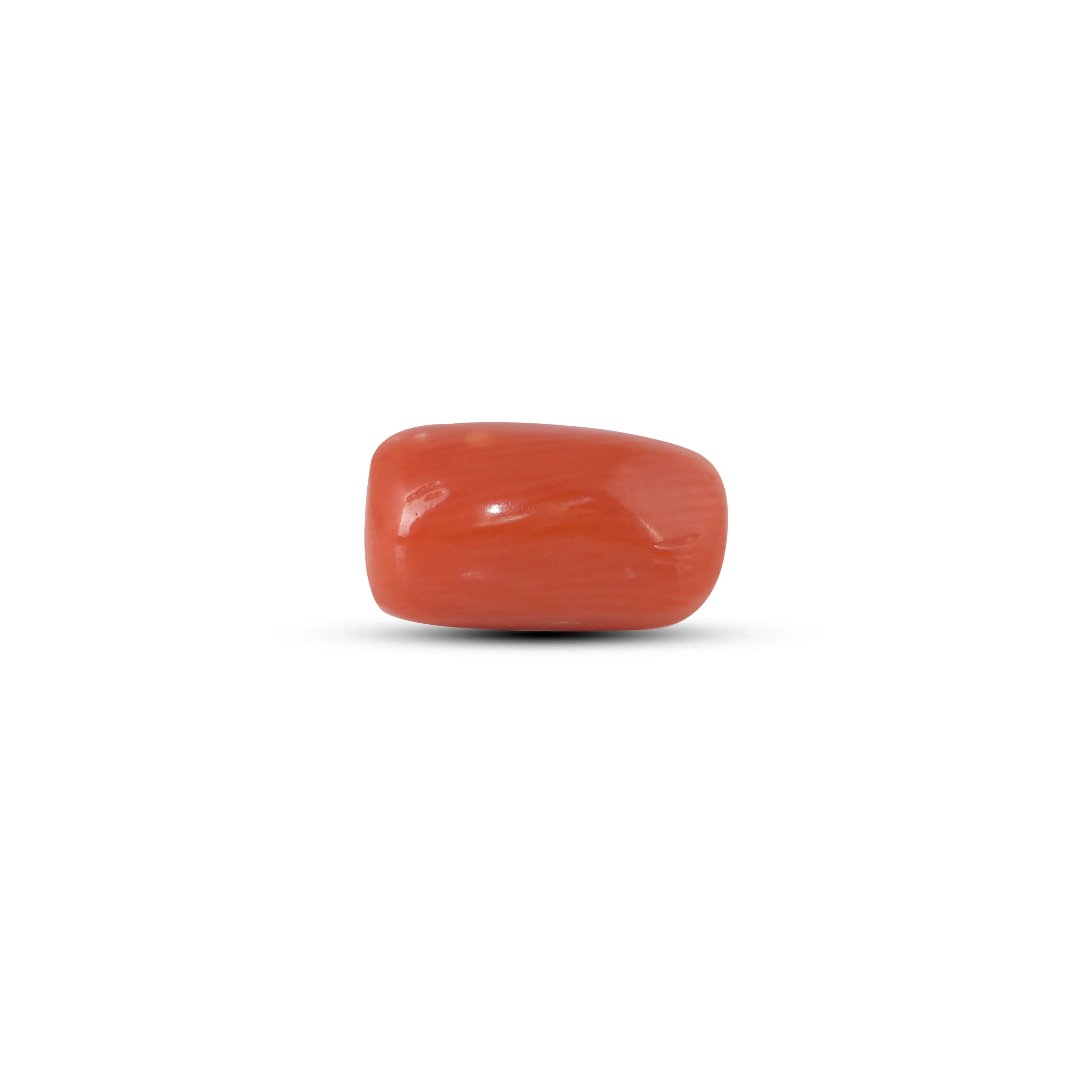 Pramogh Red Coral - 5.45 Carat