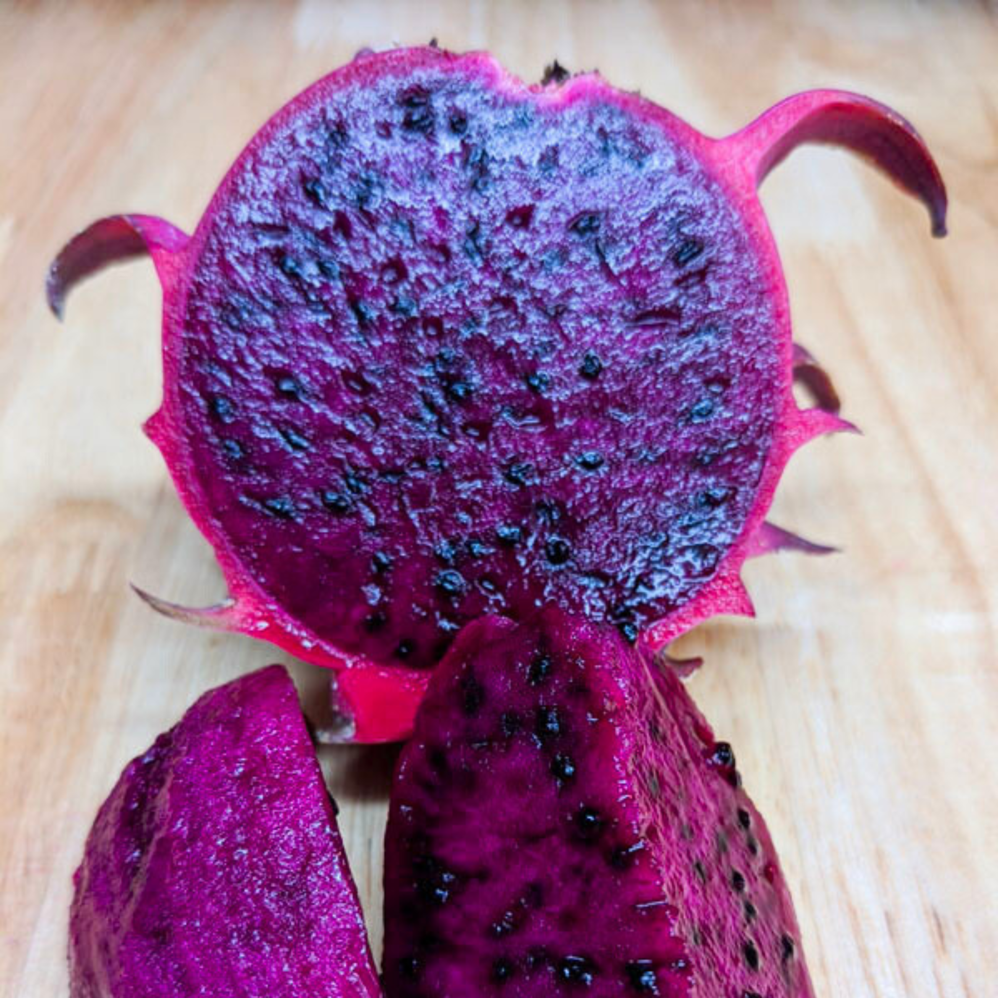 VL Red Jaina Dragon Fruit Live Plant