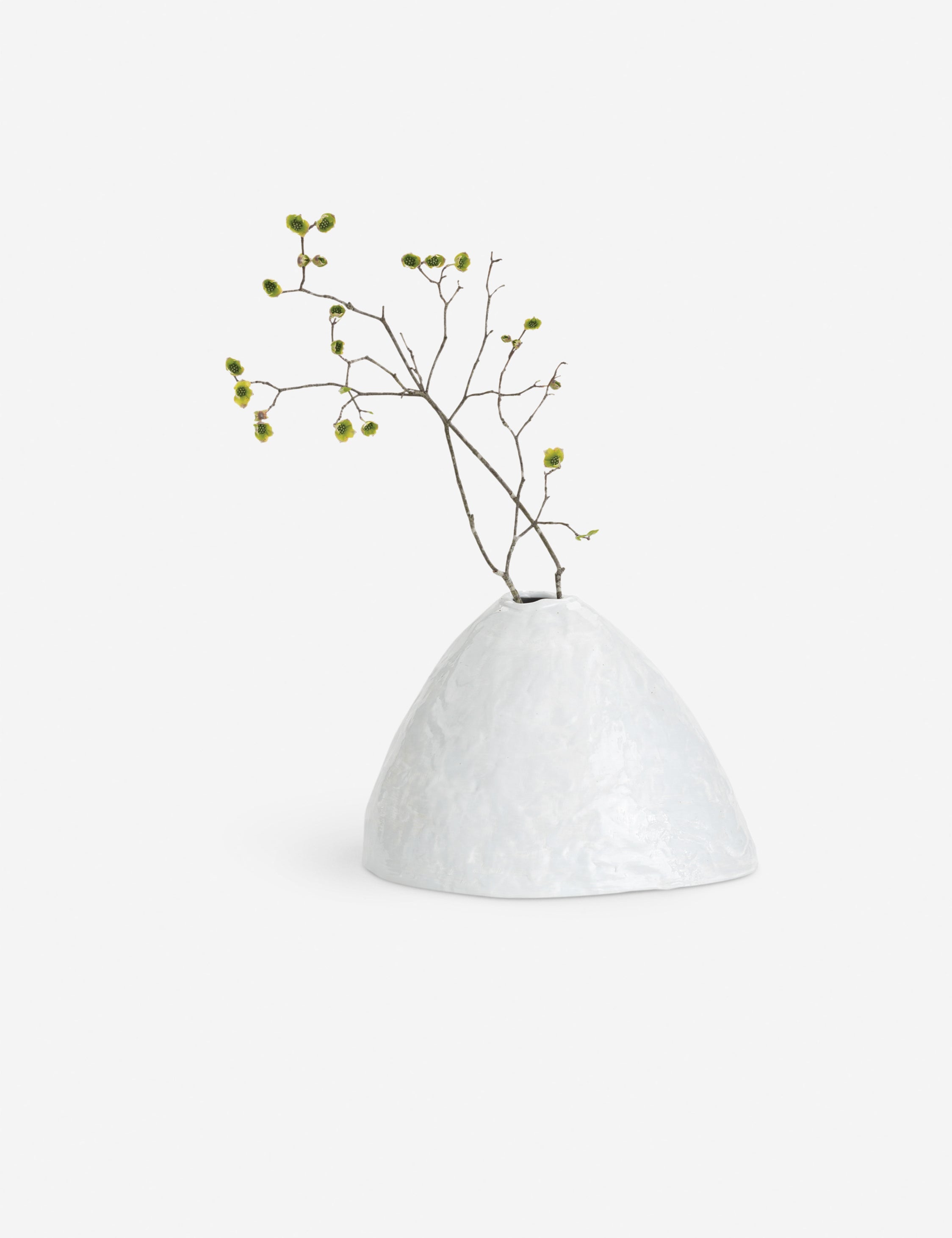 Lulu and Georgia Atlas Decorative Vase by Regina Andrew