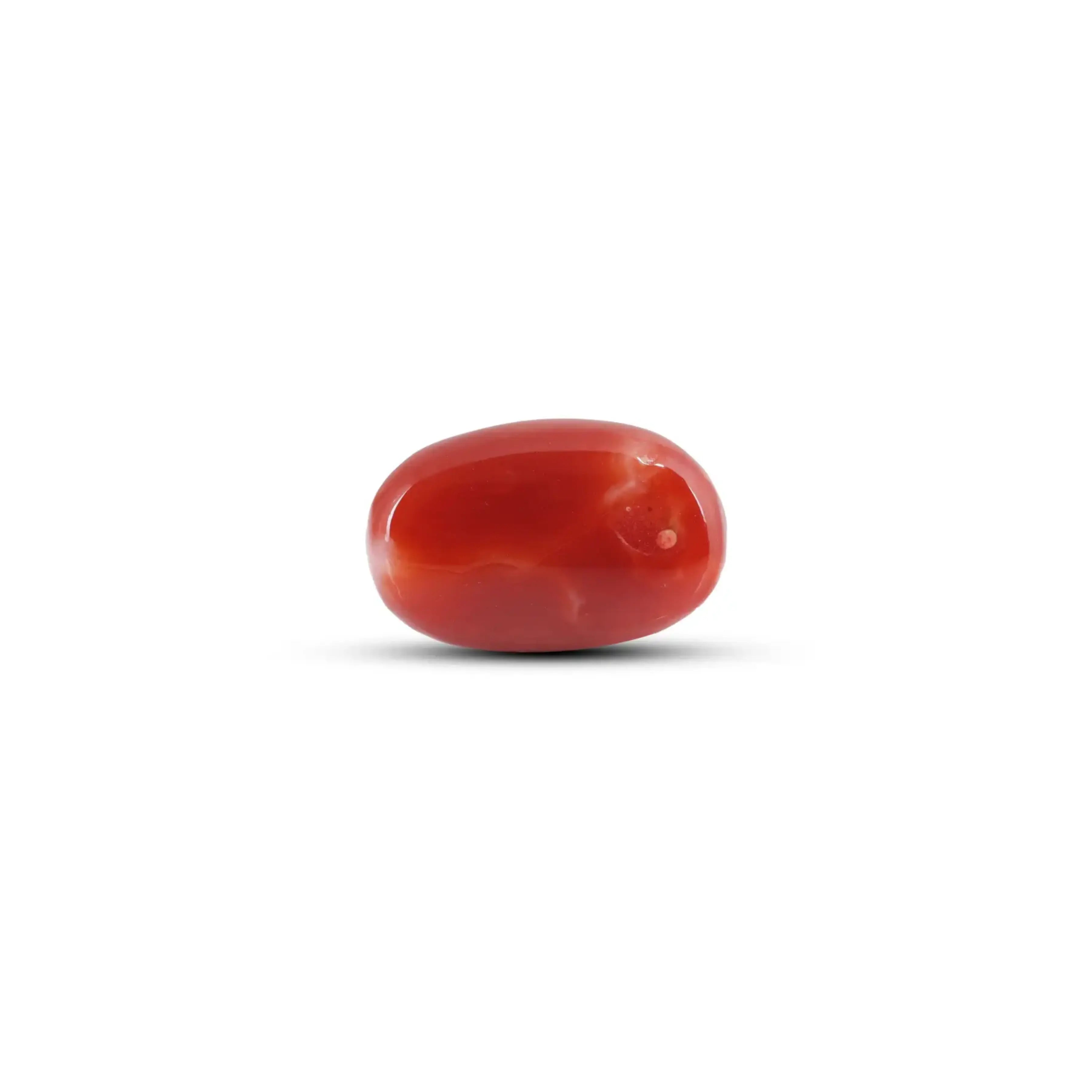 Pramogh Japanese Red Coral - 5.75 Carat - view 2