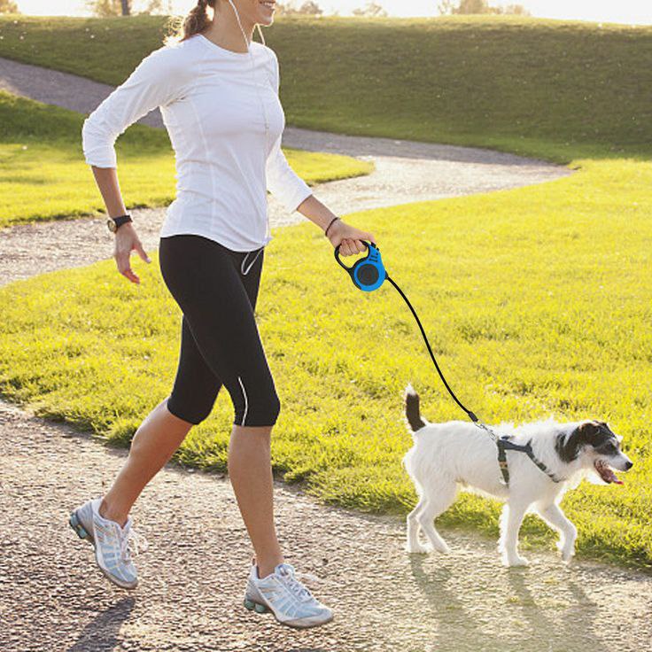 Catterton Big Adjustable Dog Leash - view 4