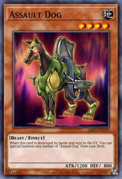 Yu-Gi-Oh! Assault Dog - DLCS-EN035 - Common - 1st Edition