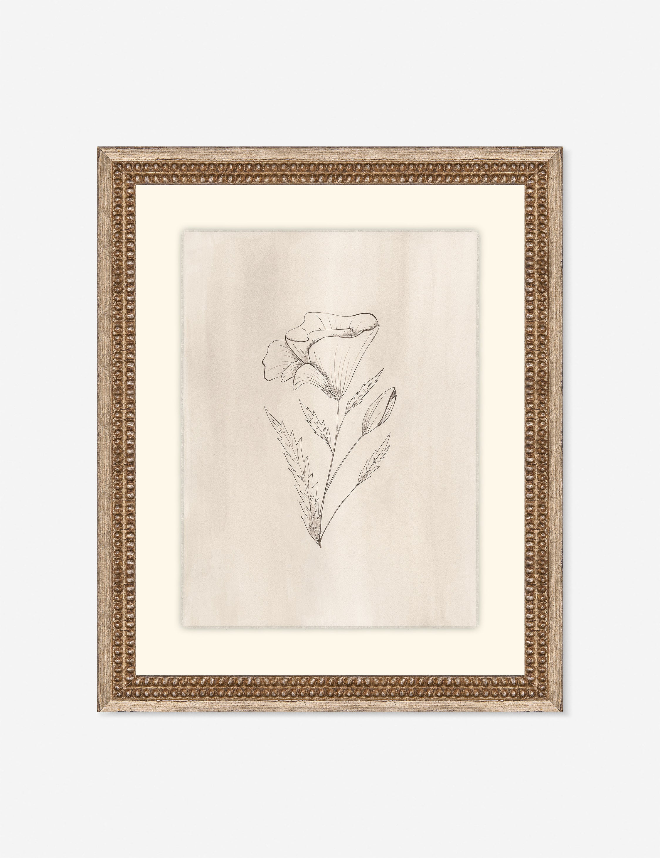 Lulu and Georgia Elegant Botanical III Wall Art by Makai Howell