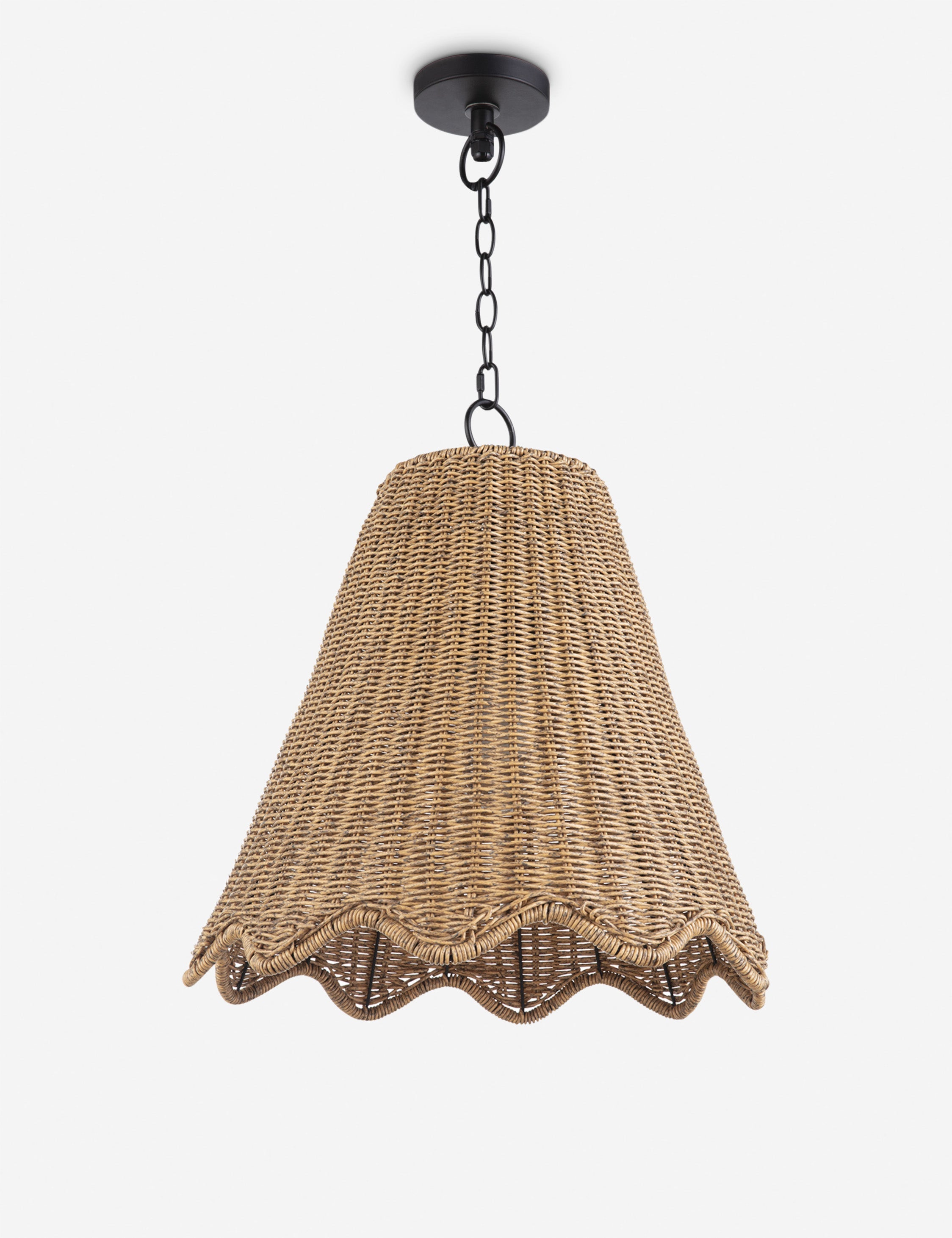 Lulu and Georgia Summer Outdoor Pendant Light by Regina Andrew - view 2